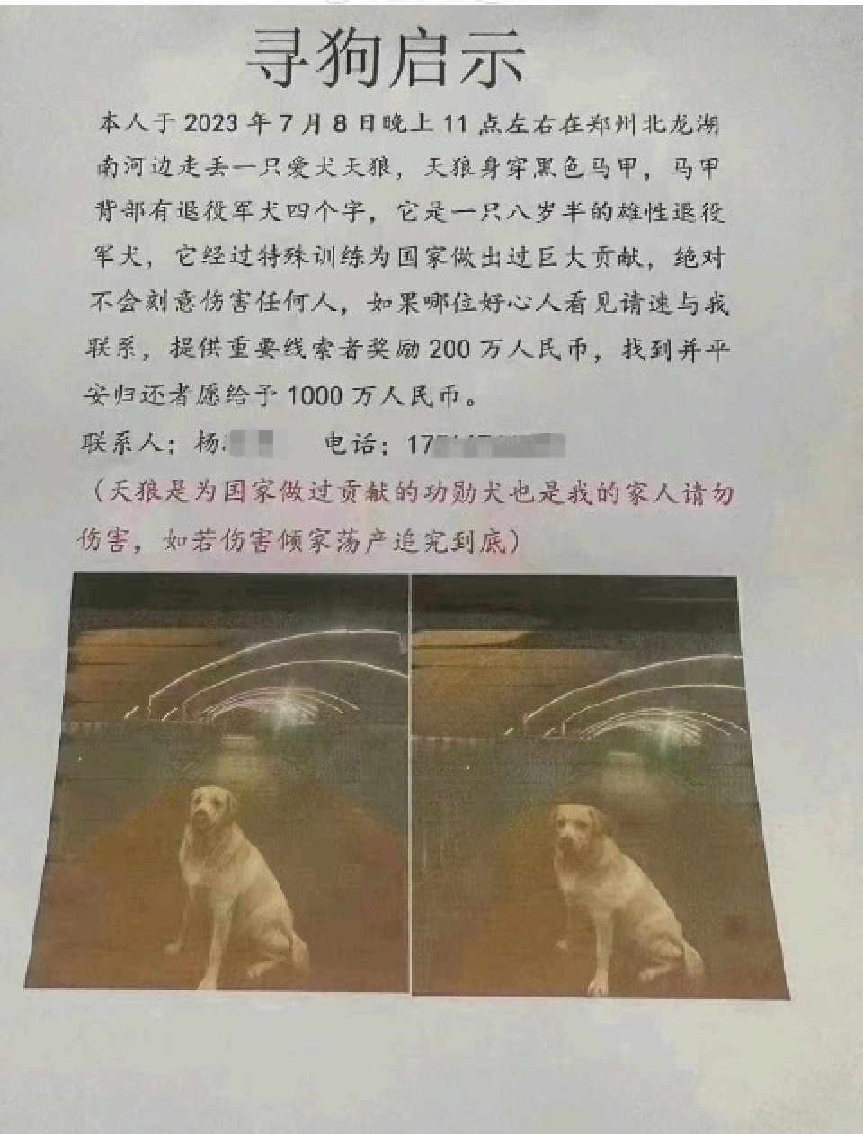 The pet’s owner claimed the dog was ex-military and had “made contributions to the nation”. Photo: Weibo