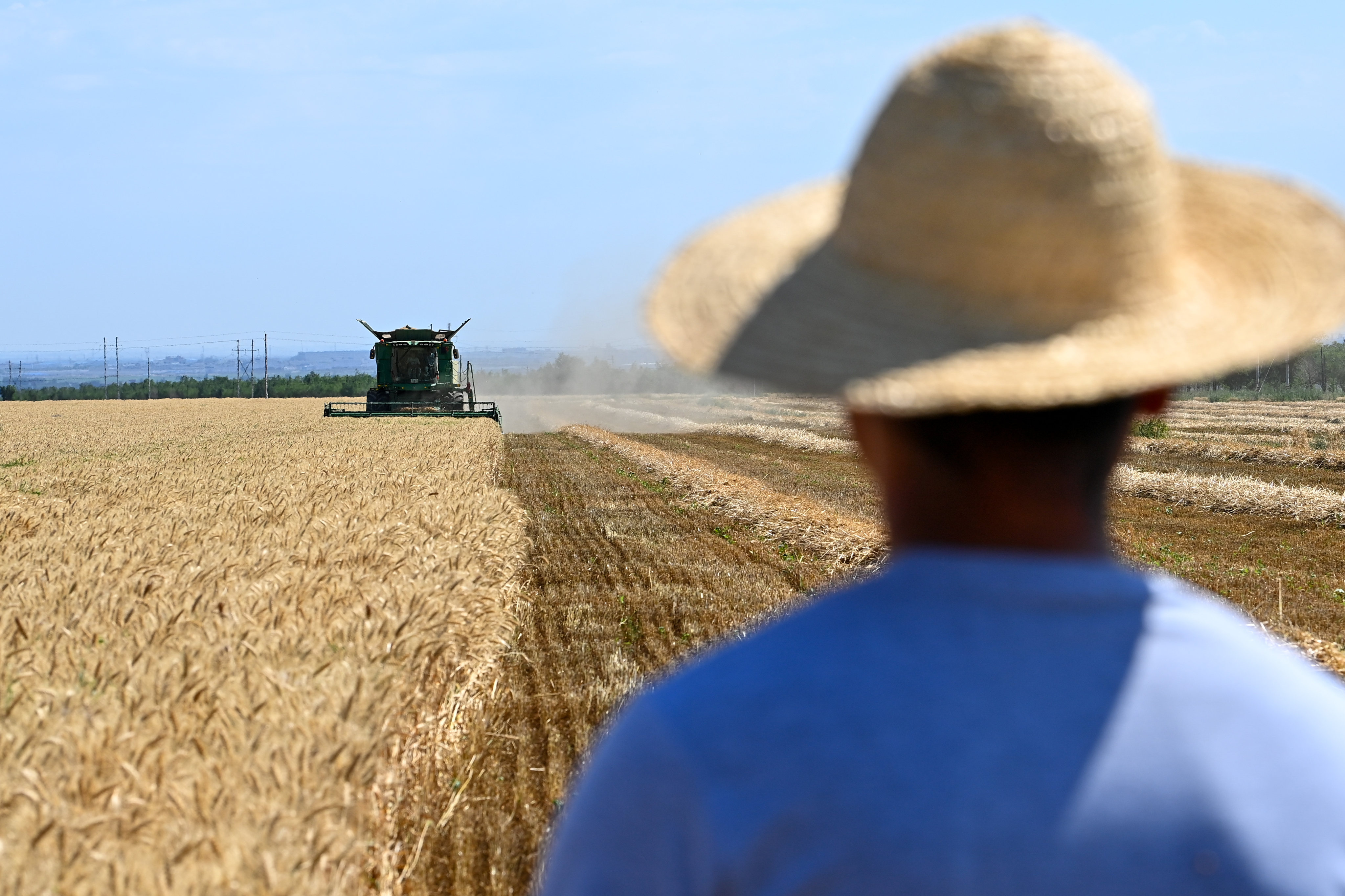 Farmers harvest wheat on Saturday in China’s Xinjiang Uygur autonomous region. Photo: Xinhua