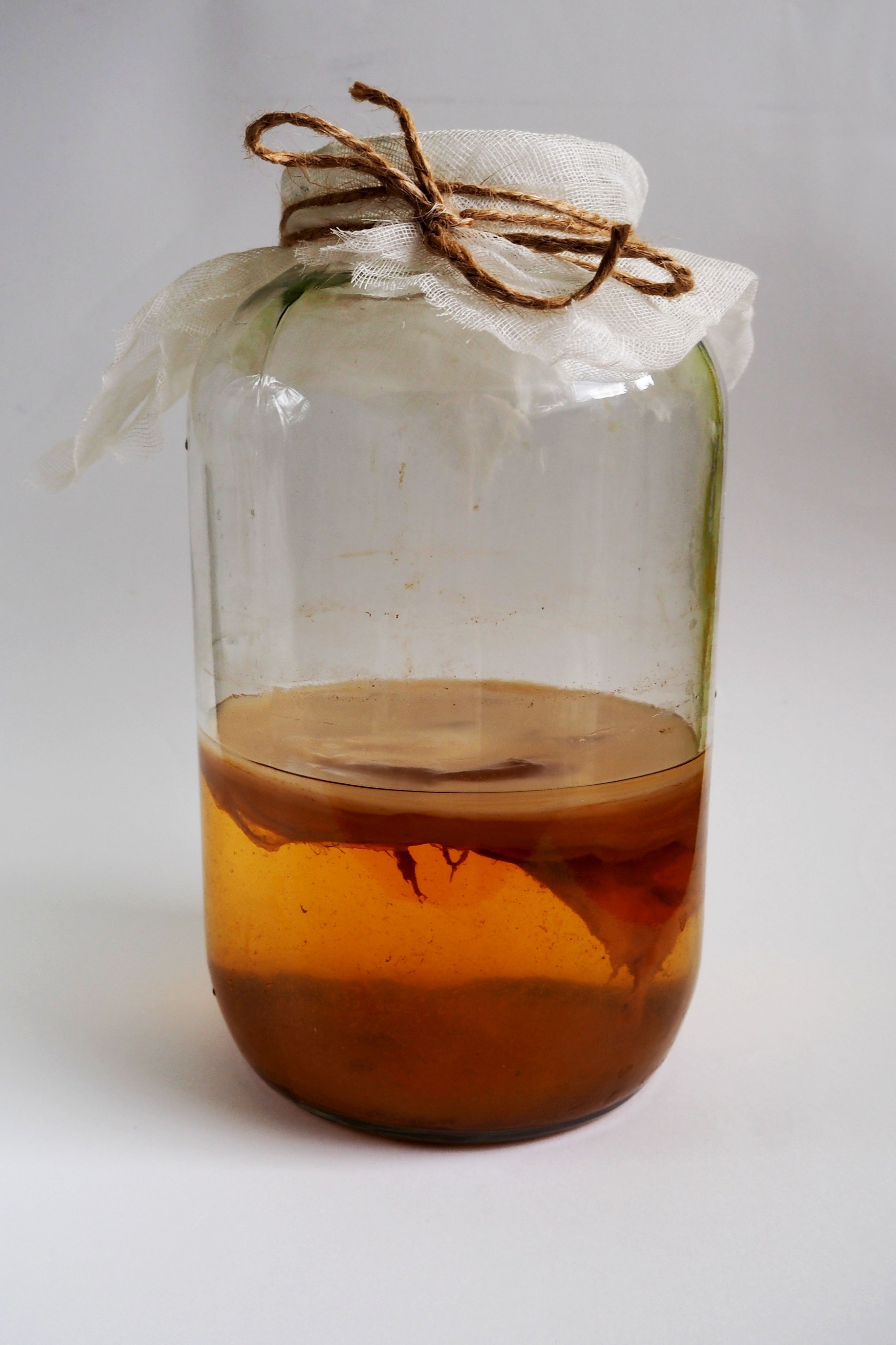 A jar of the fermented drink kombucha. Photo: Shutterstock