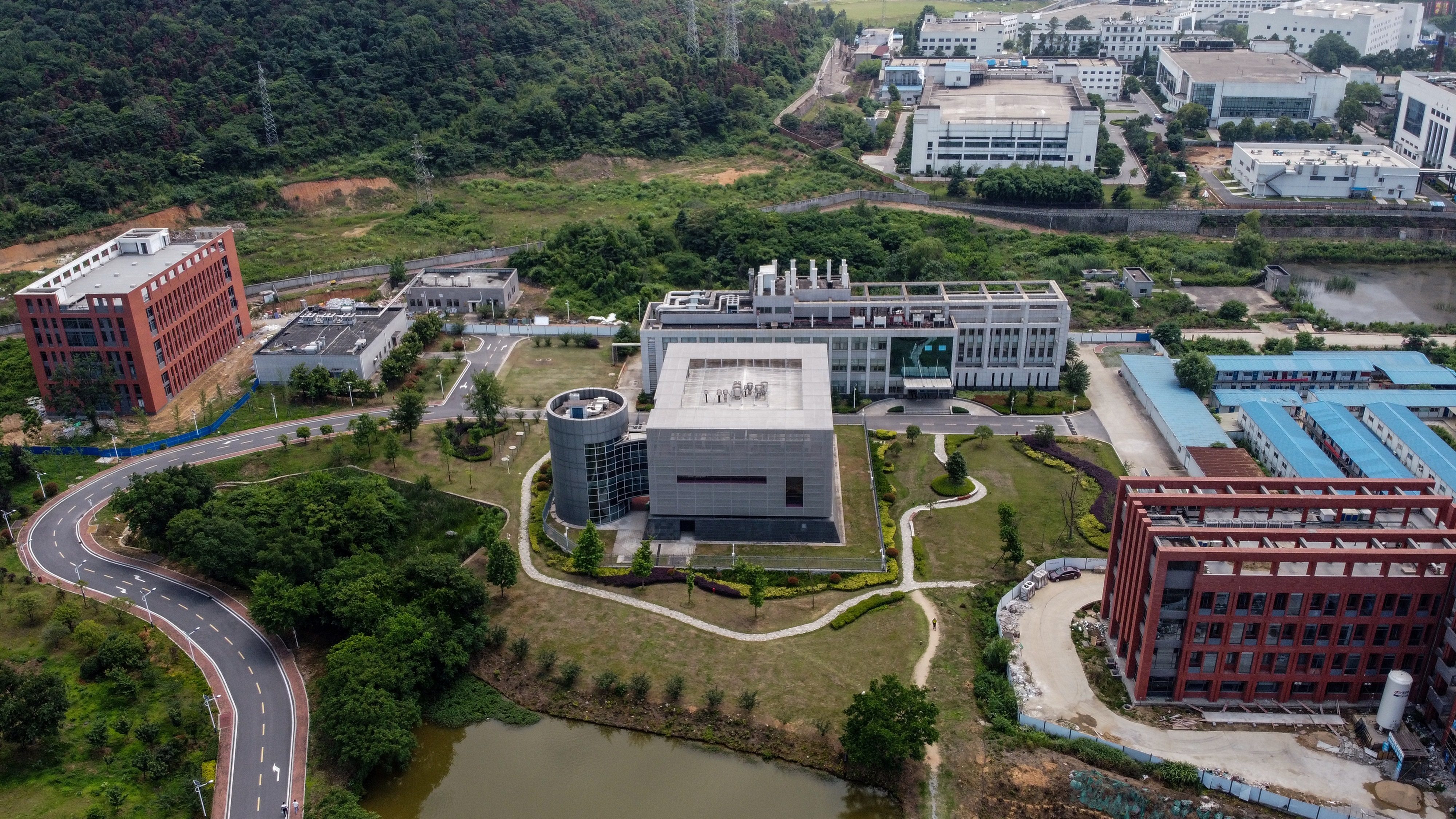 The US has suspended the Wuhan Institute of Virology’s access to American federal funding. Photo: AFP