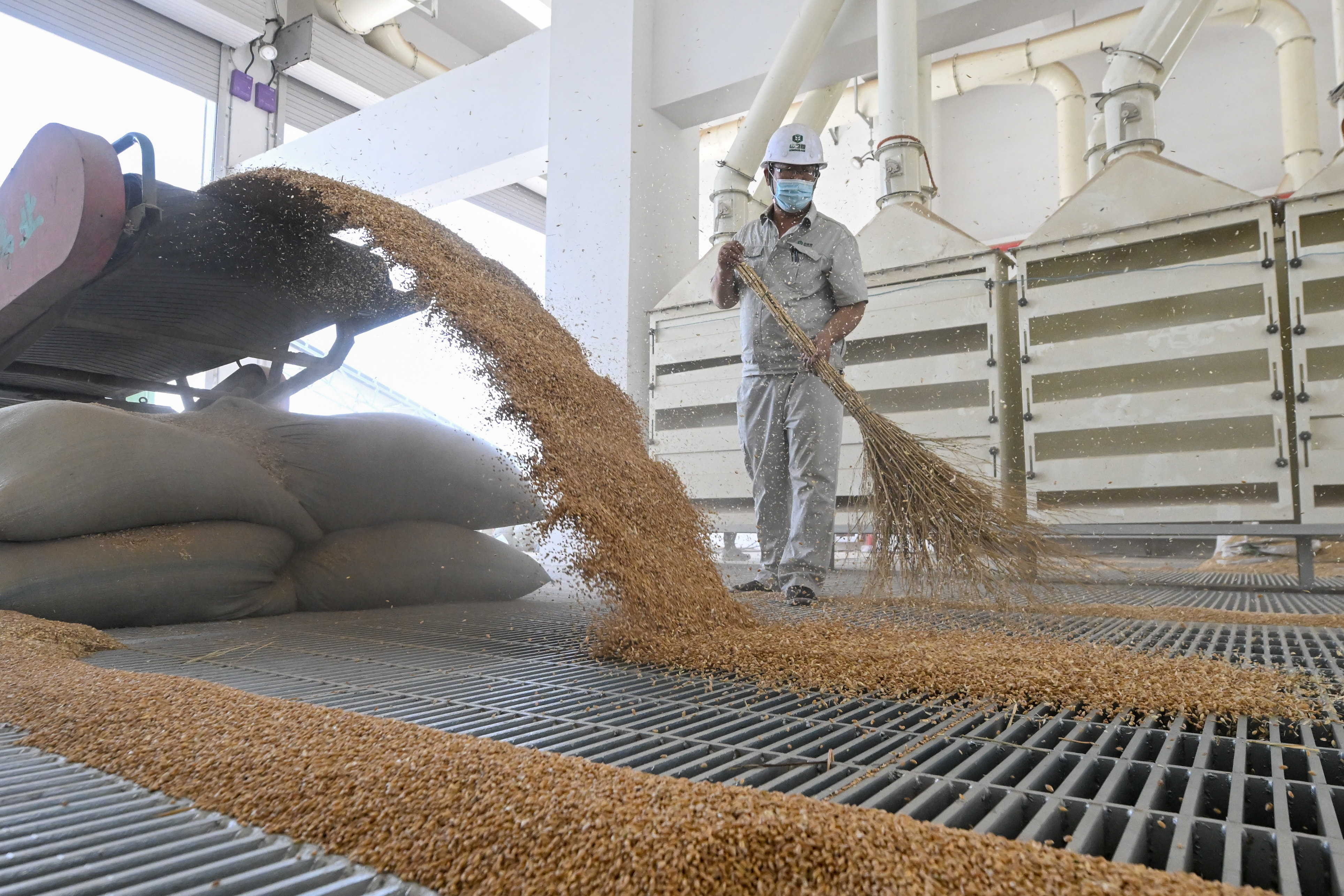 China’s leaders have been ramping up efforts for years to ensure there is enough food to feed the country’s 1.4 billion people. Photo: Xinhua