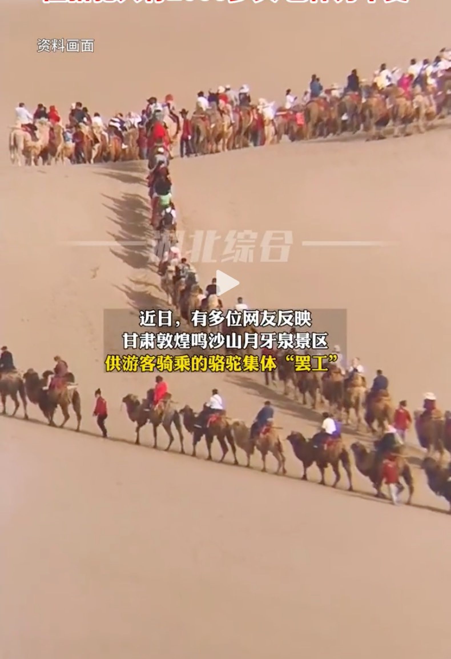 The camel riding service at Mingsha Mountain costs US$14 per person for 1 hour. Photo: Douyin