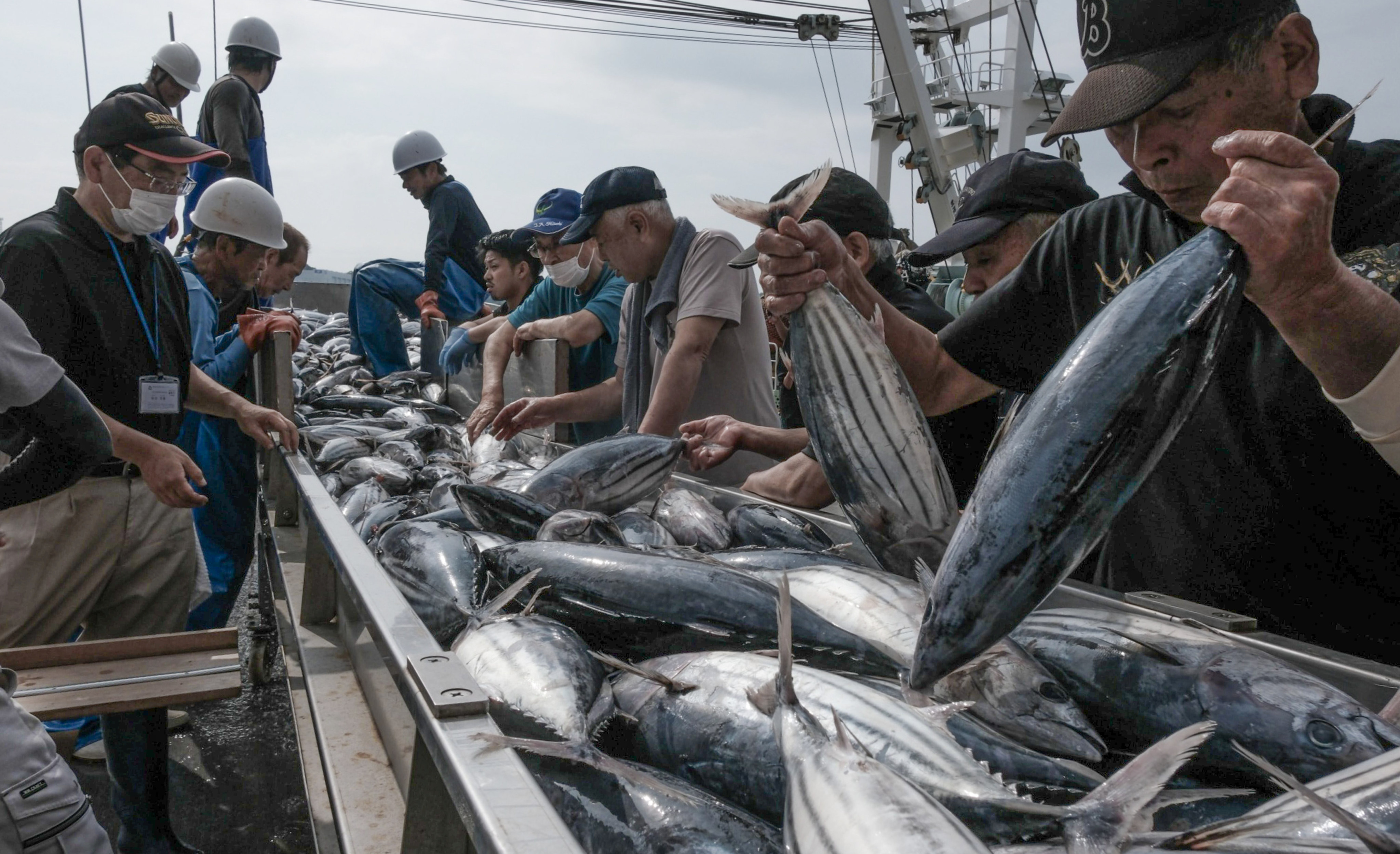 Hong Kong plans to ban seafood from 10 Japanese prefectures, including Fukushima, if the discharge plan goes ahead. Photo: Bloomberg