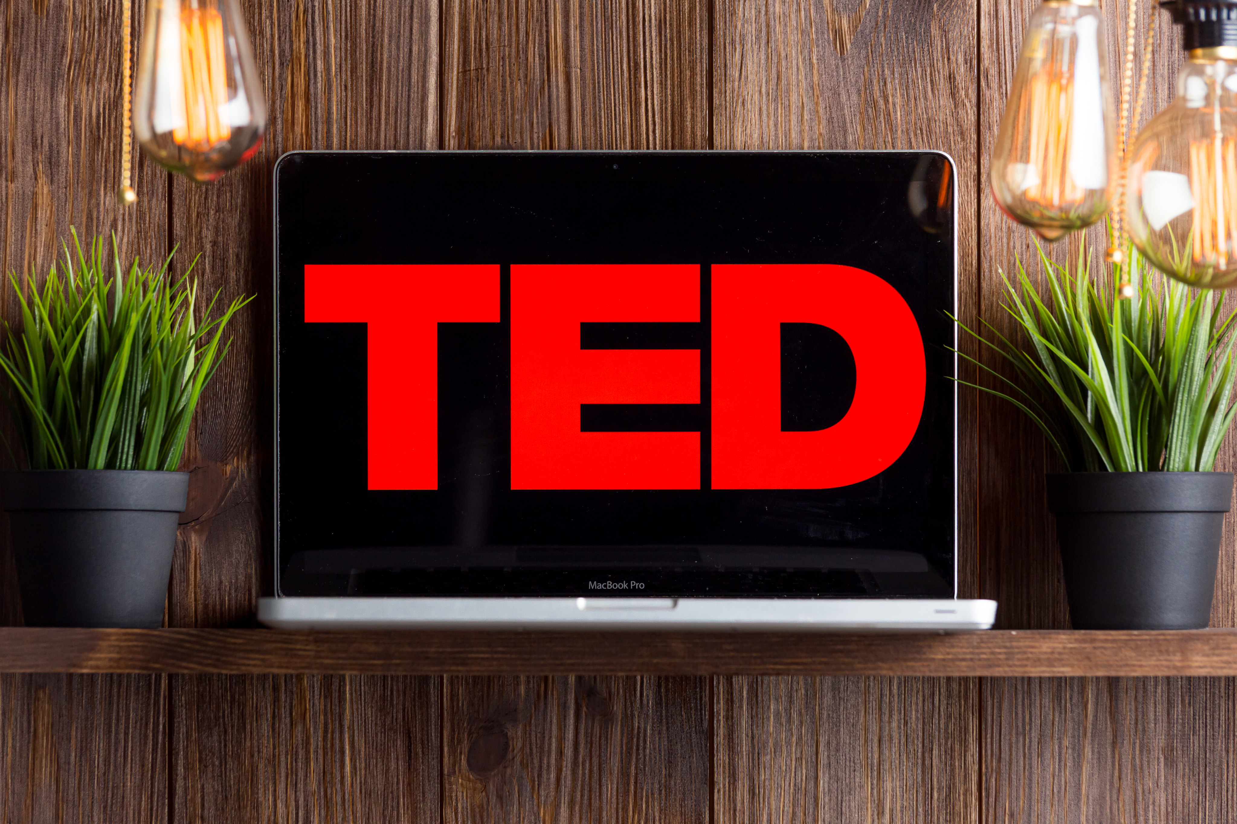 TEDx allows volunteers around the world to organise their own licensed TED talks, which must be not-for-profit events.  Photo: Shutterstock