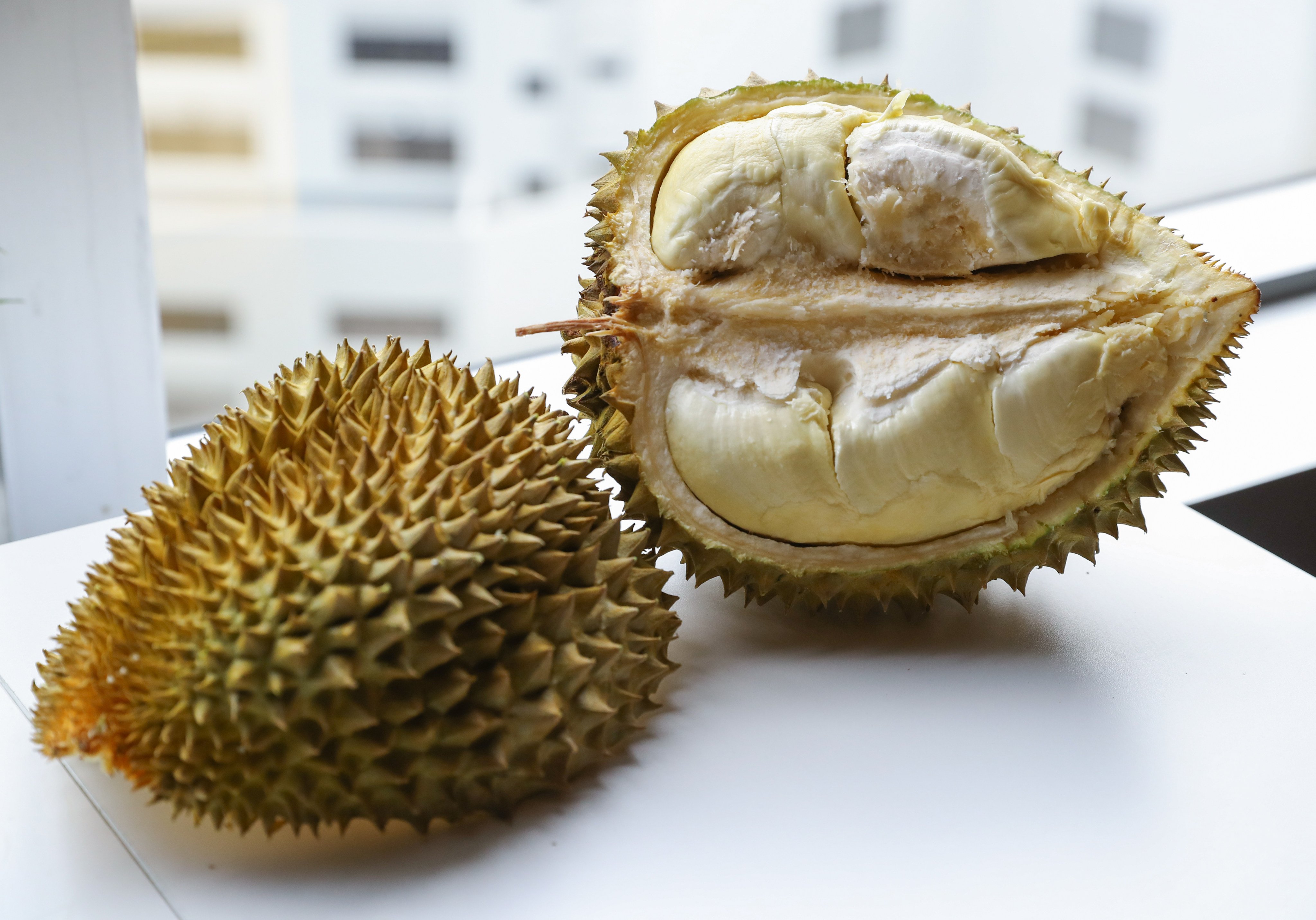 One of China’s first home-grown durians - we evaluate its taste, texture and smell. Photo: Sun Yeung