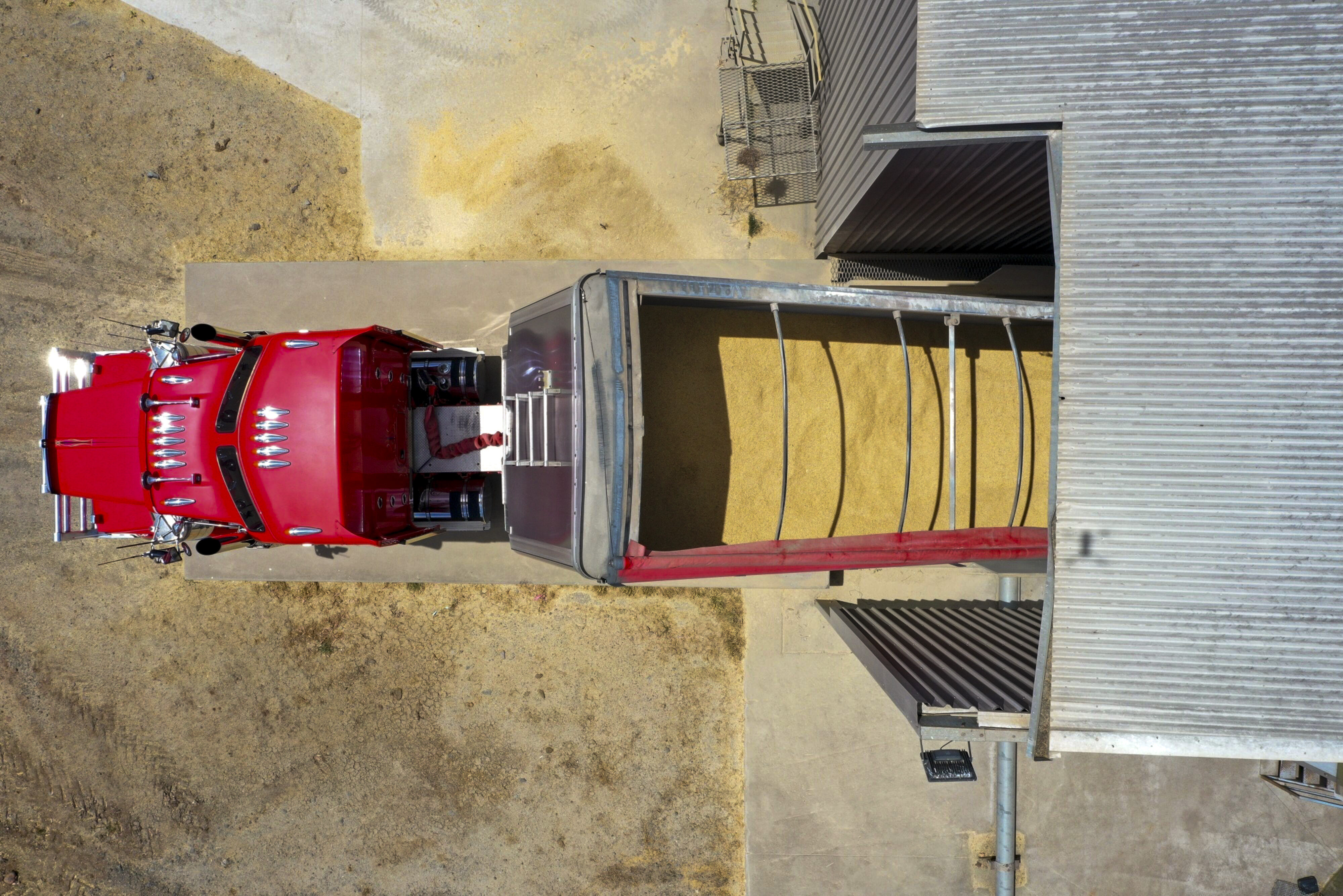 A truck delivers barley to a silo feeder in Australia. China is lifting barley tariffs that have forced Australian exporters to seek other destinations. Photo: Bloomberg