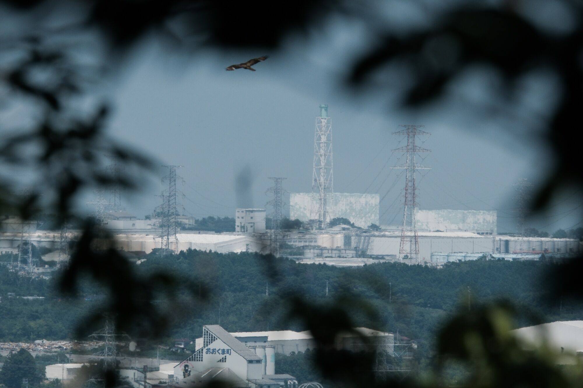 A view of Japan’s crippled Fukushima Dai-ichi nuclear power plant last month. In the years since the disaster, Japanese policymakers have gone from shunning nuclear to embracing it once again. Photo: Bloomberg