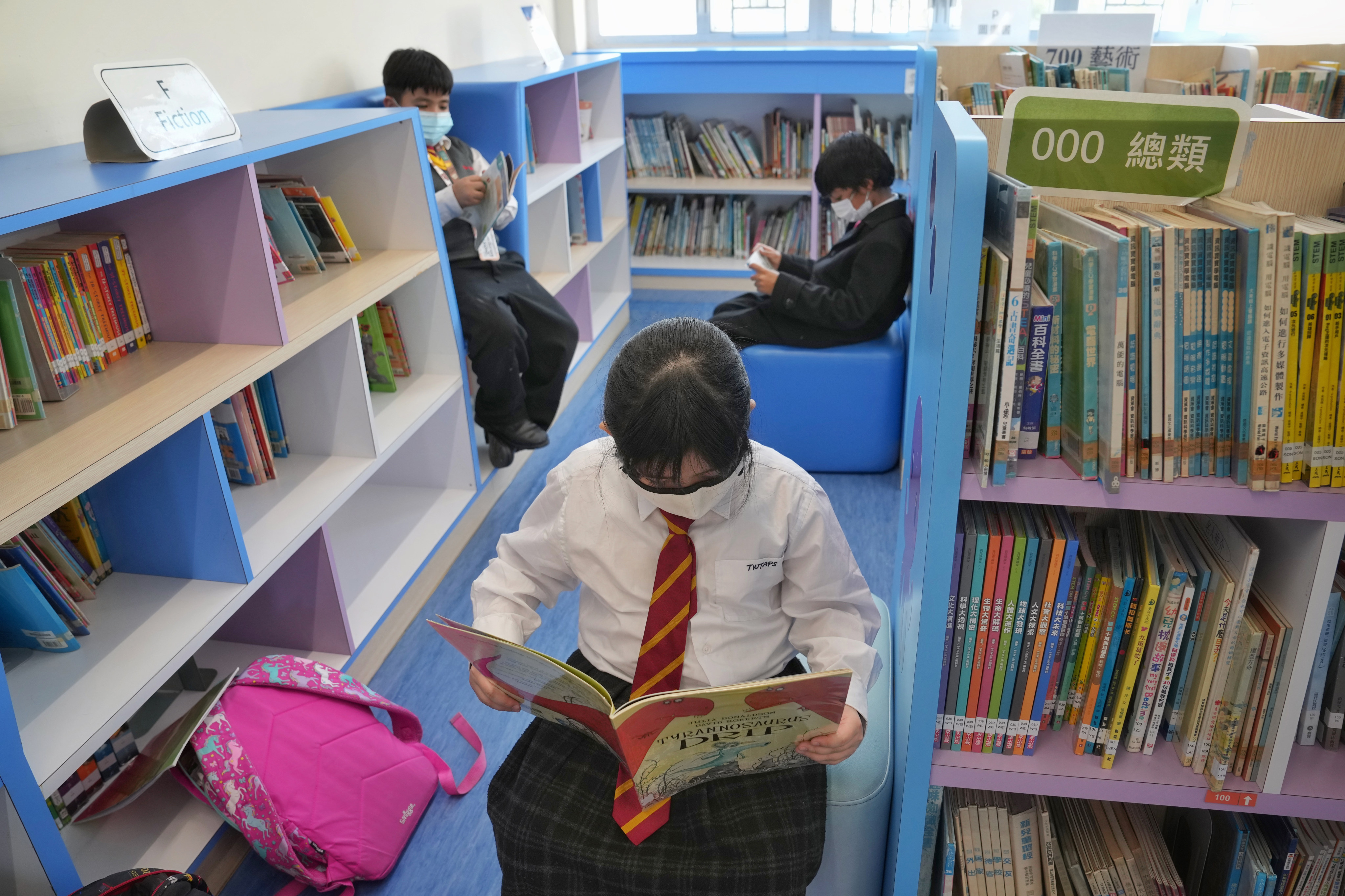 In the survey, Hong Kong students have expressed a desire for a wider variety of books in their schools. Photo: Elson Li