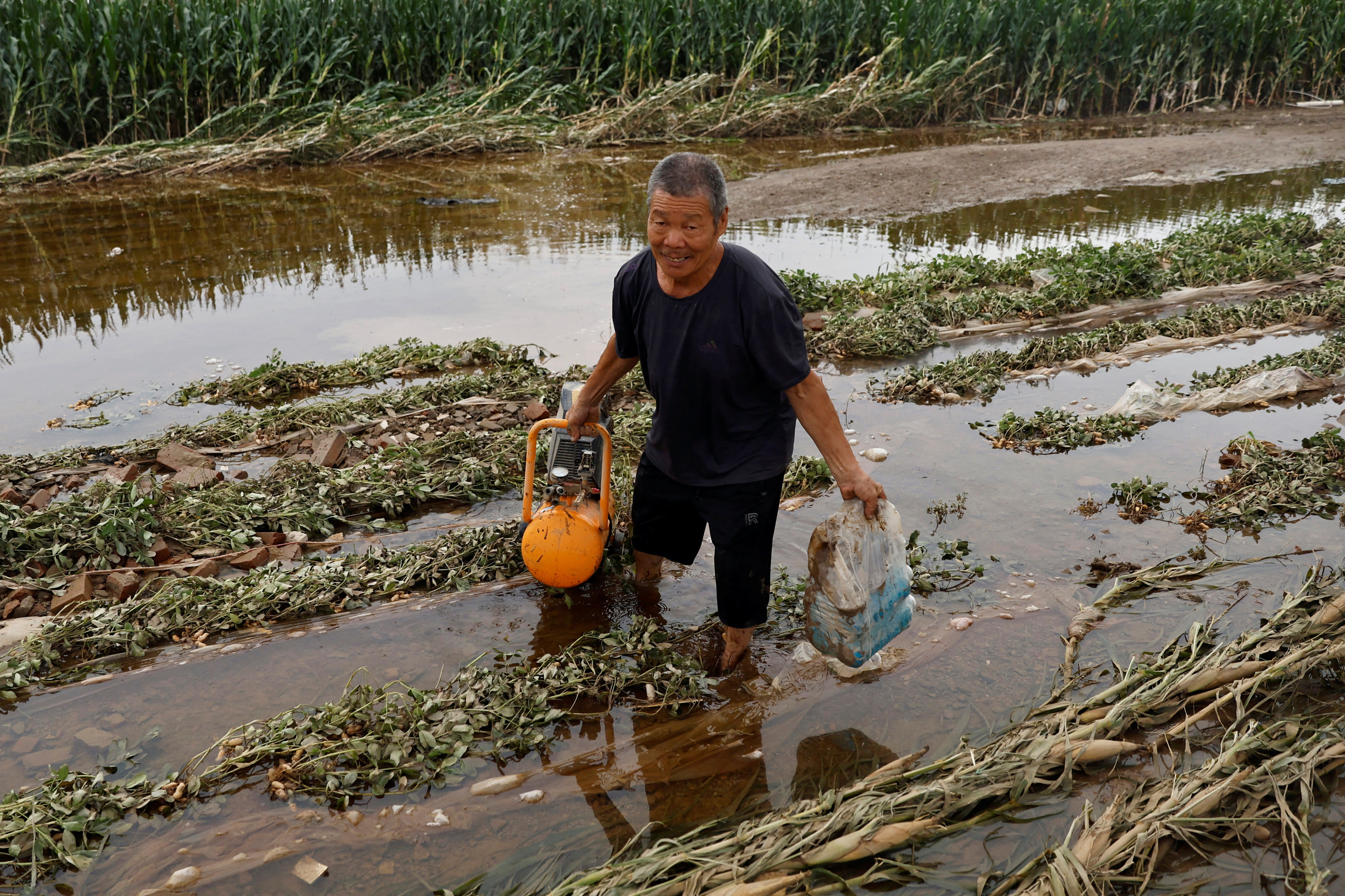 A man wades through floodwaters in a corn field in China’s Hebei province on Monday after excessive rain from Typhoon Doksuri. Photo: Reuters