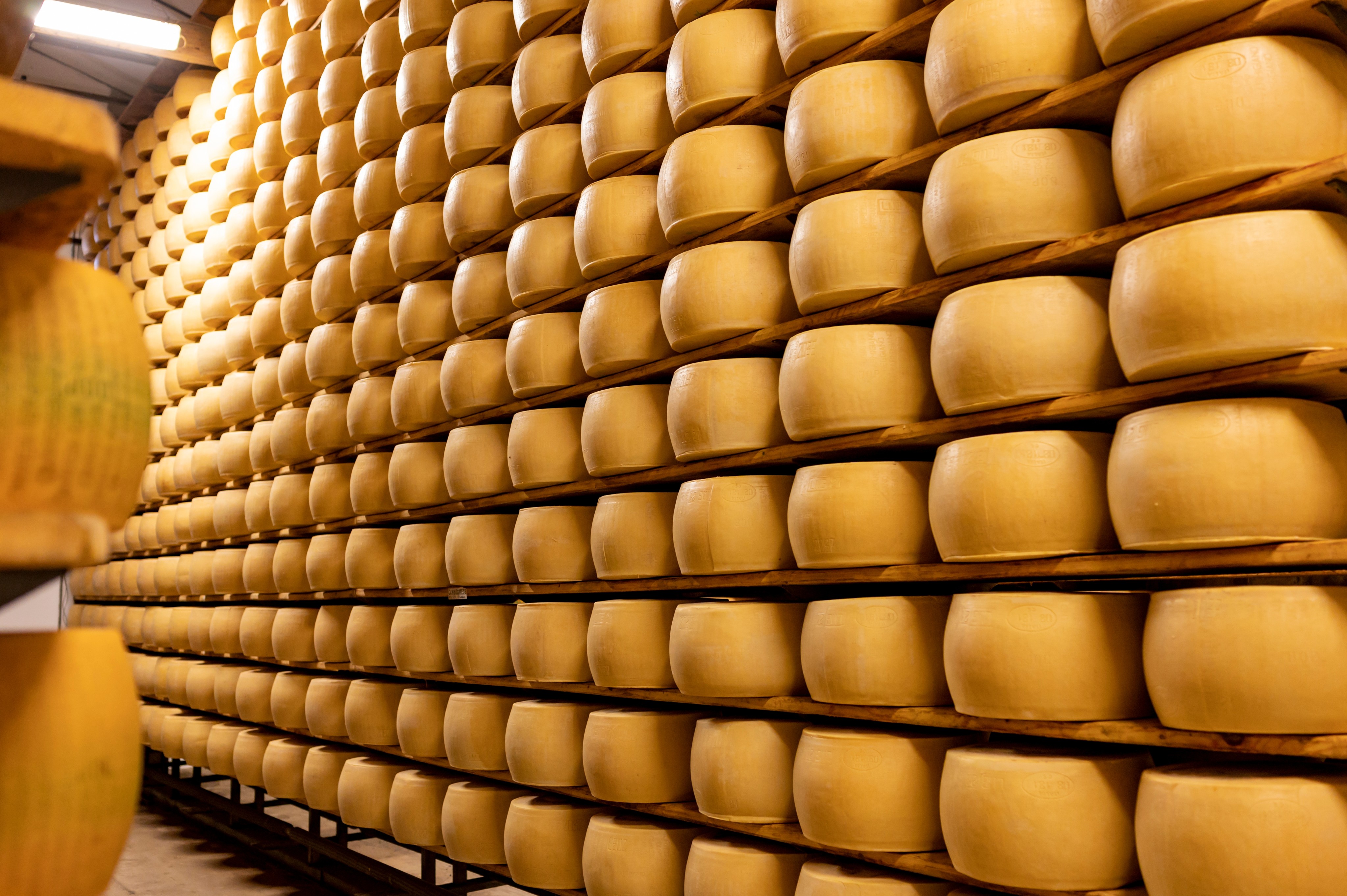 A warehouse of cheese. An Italian man died after a warehouse shelf collapsed, causing an avalanche of cheese wheels to bury him. Photo: Shutterstock
