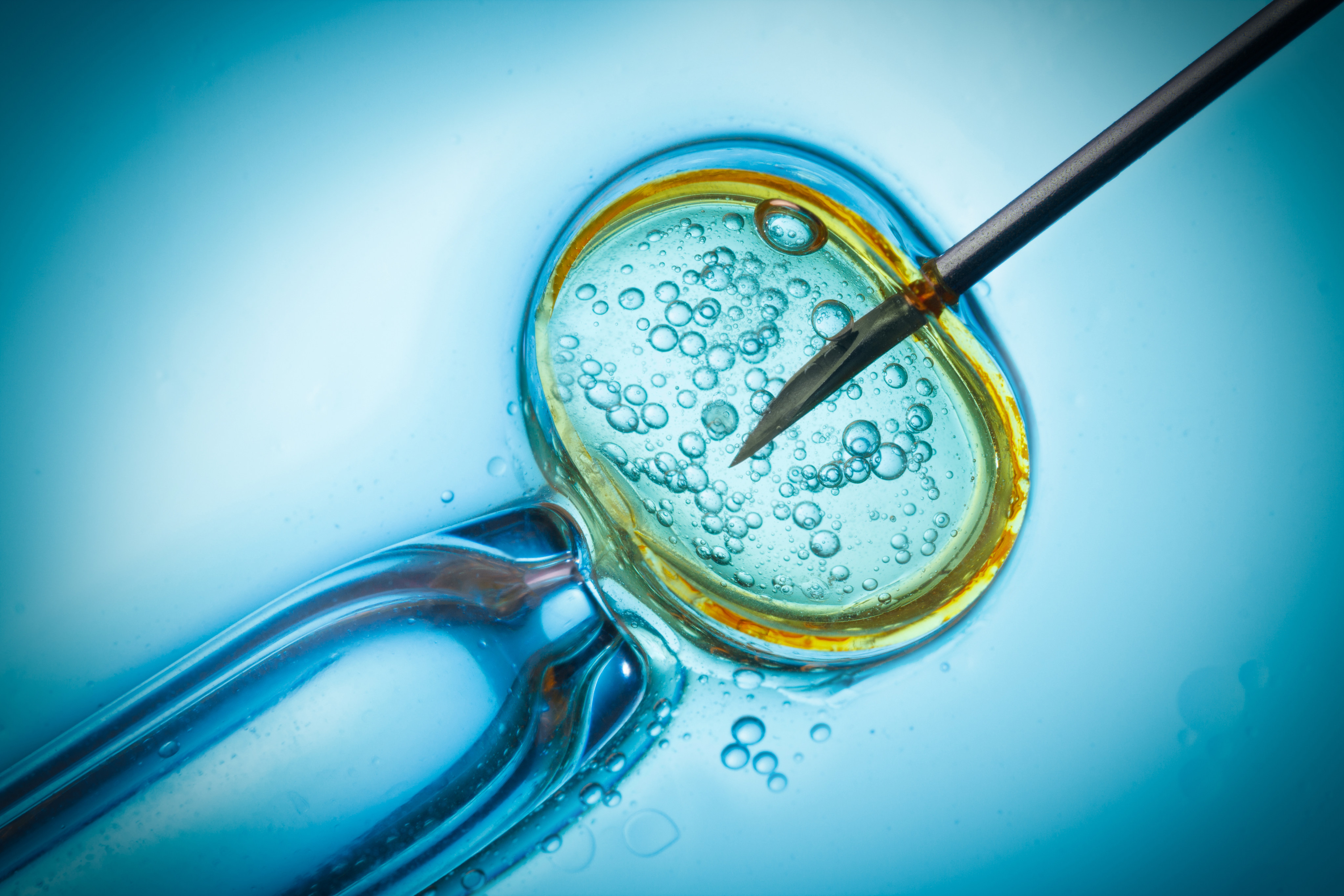 Reproductive medicine experts say longer storage time for frozen eggs, embryos and sperm is unlikely to increase Hong Kong’s falling birth rate. Photo: Shutterstock