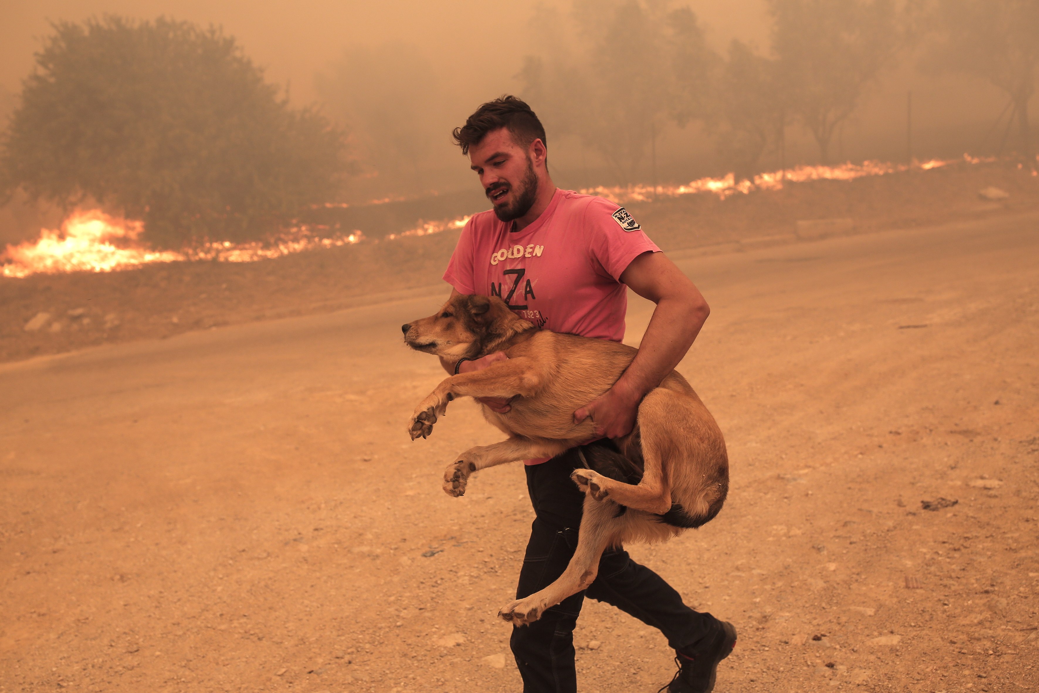 A farmer rushes to evacuate his dog  during a wildfire at the area of Fyli near Athens, Greece. Photo: EPA-EFE