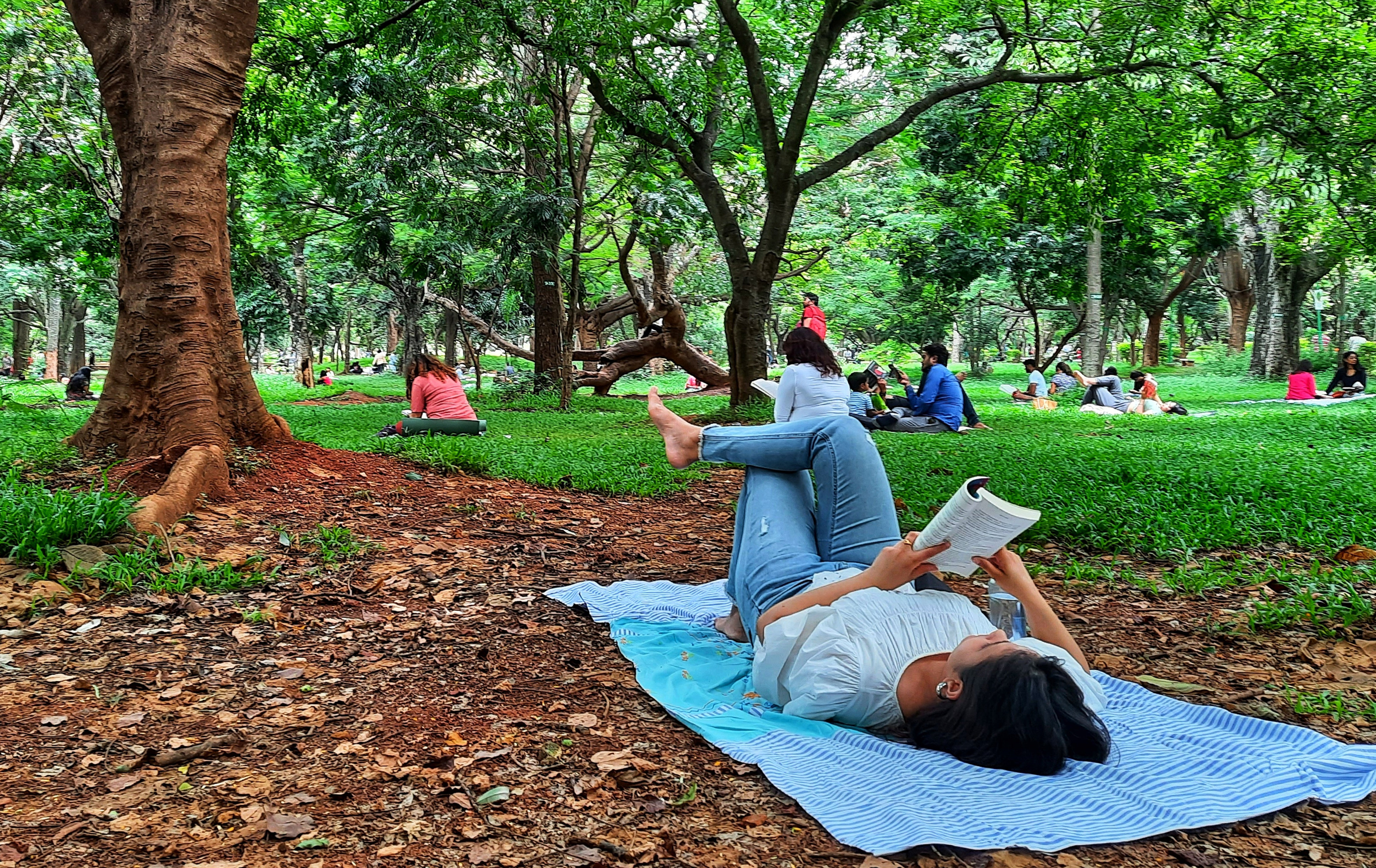 Cubbon Reads is a community reading initiative that takes place in a park in Bangalore, India. Photo: SCMP