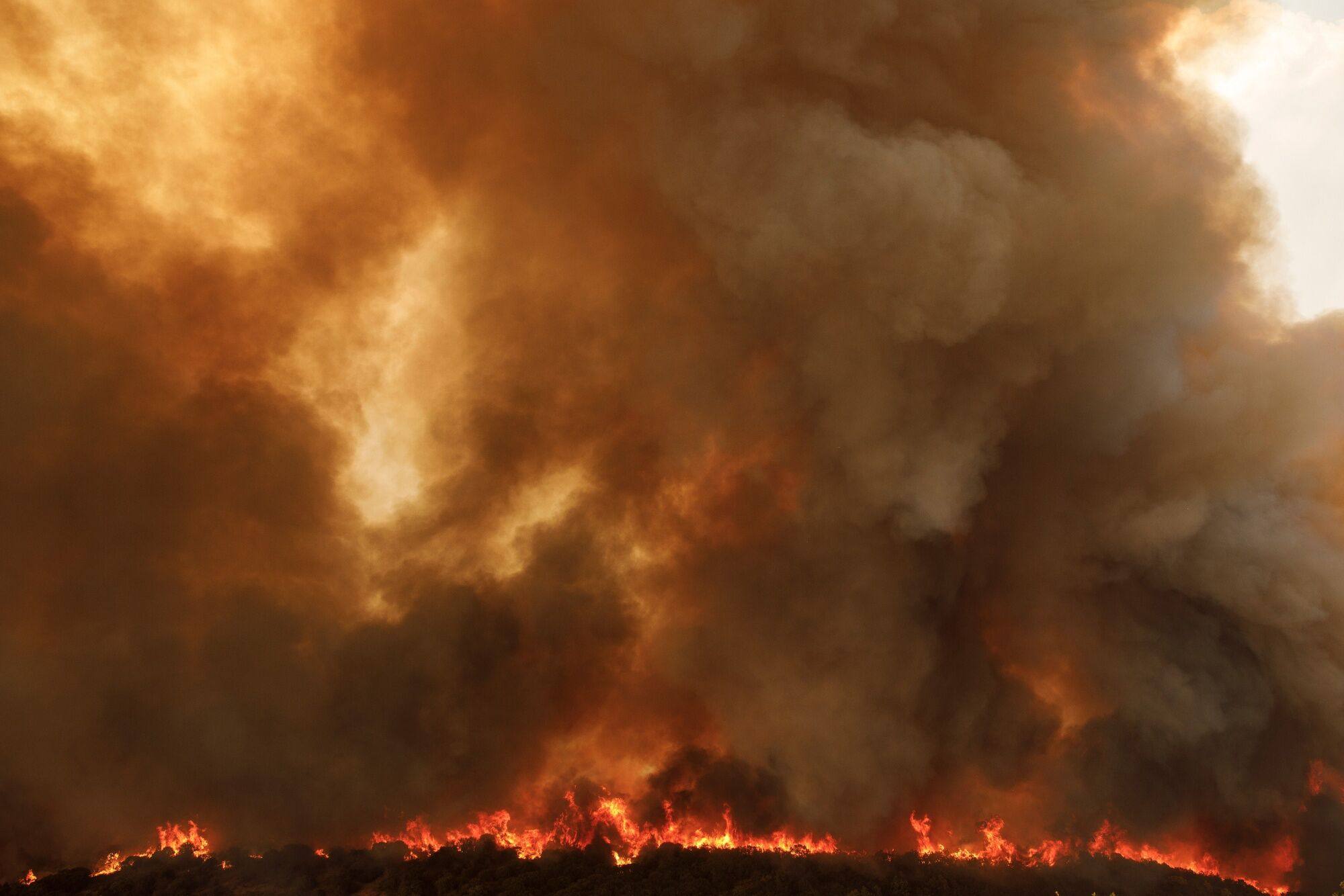 A wildfire burns near the village of Sikorrachi, west of Alexandroupolis, Greece, on Wednesday. Photo: Bloomberg
