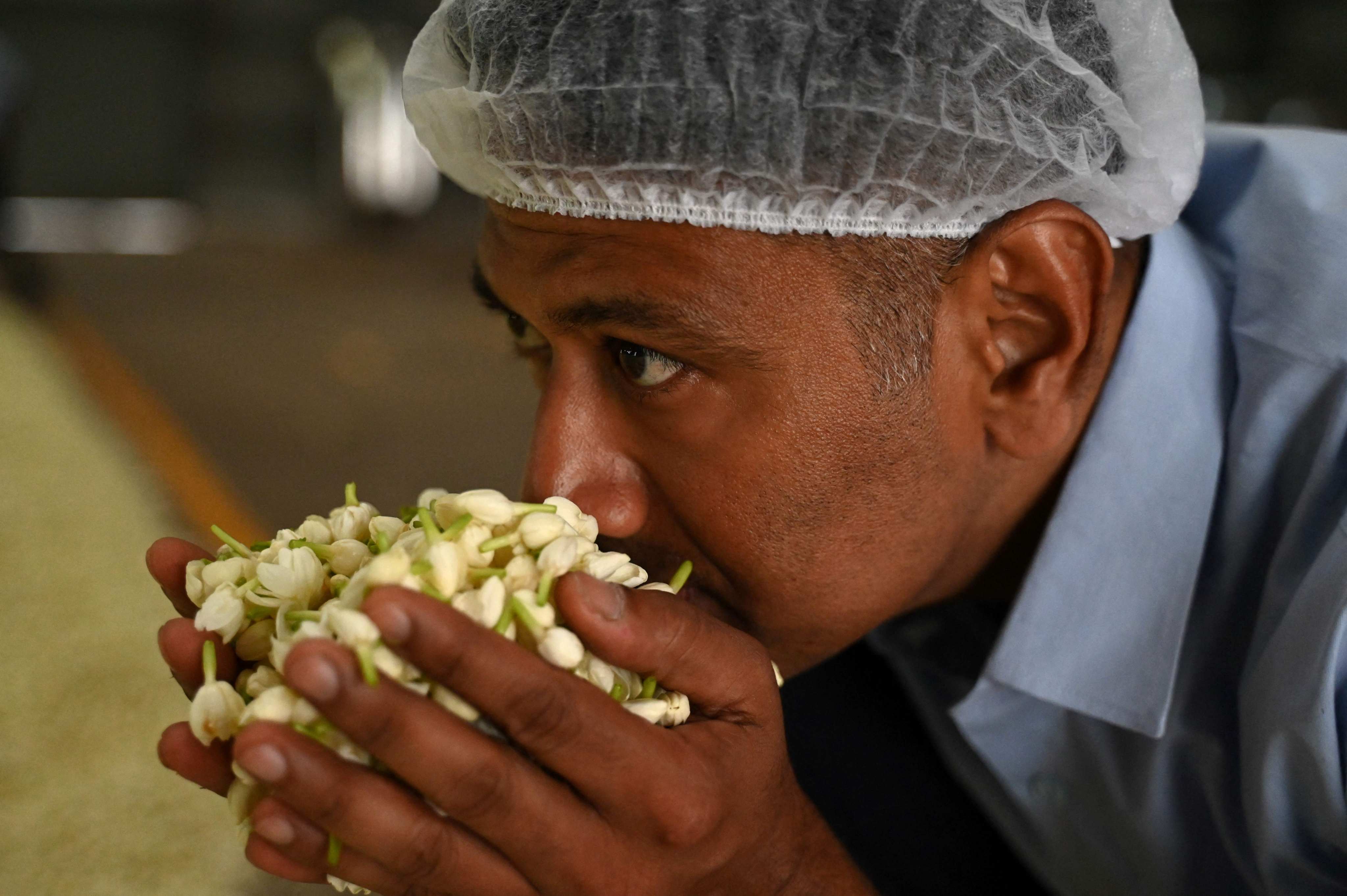 Raja Palaniswamy, a director at Jasmine Concrete, smells jasmine flowers at his factory in Madurai, India, a source of jasmine oil used by some of the world’s top perfumers. Photo: AFP