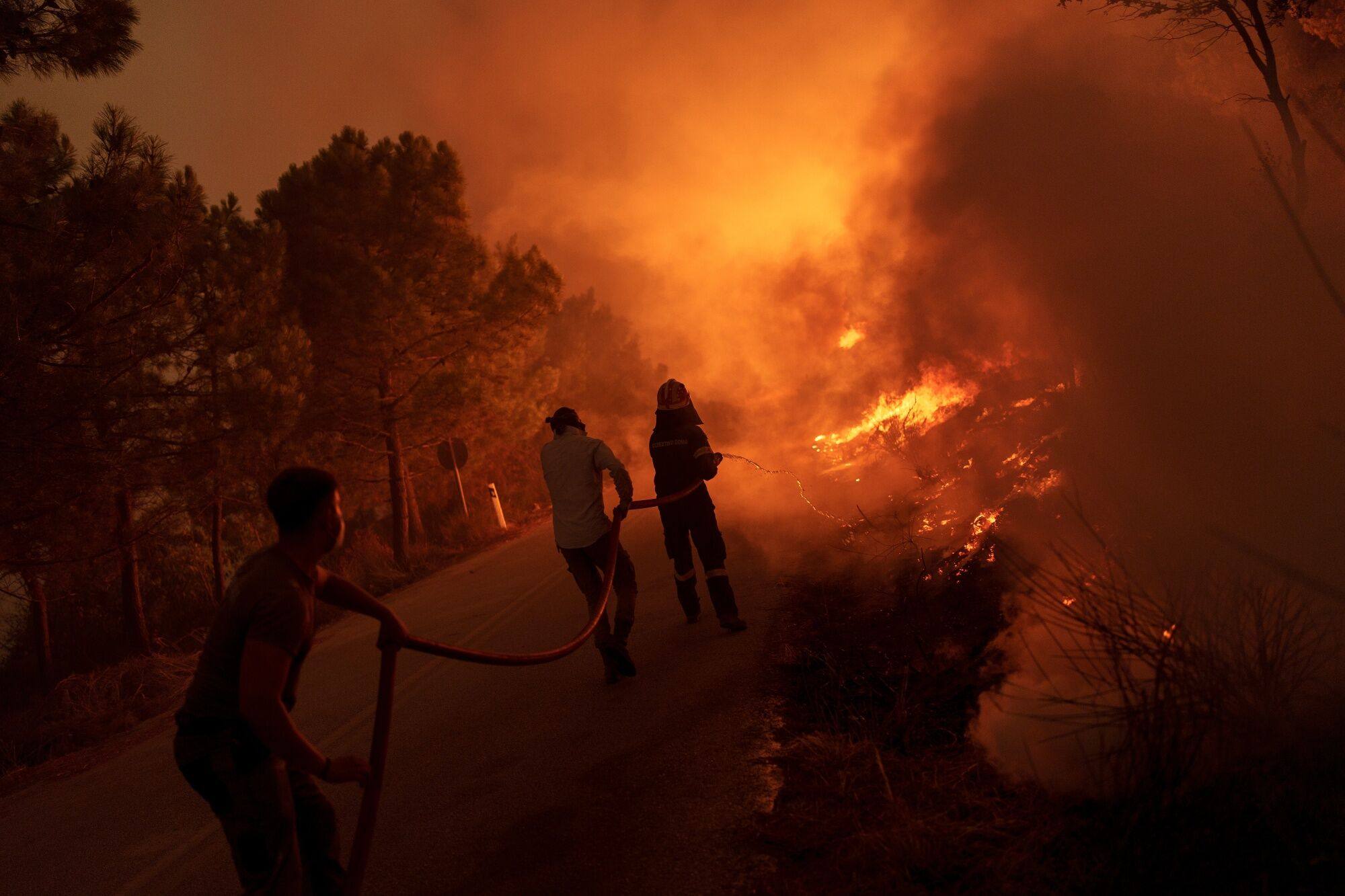 Firefighters and volunteers work to extinguish a wild fire near the village of Dikella, west of Alexandroupolis, Greece, on August 22. Photo: Bloomberg