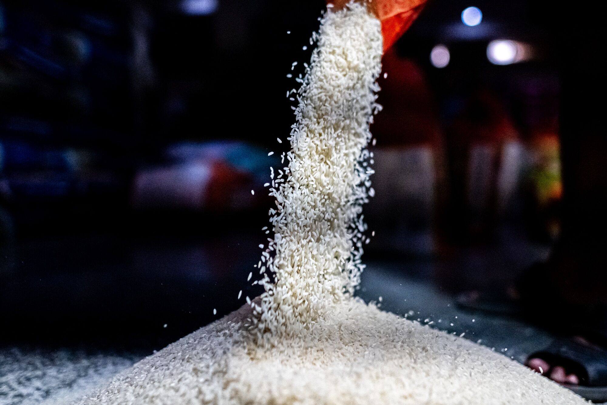 Rice prices in Asia rebounded on escalating concerns around supply as top exporter India implemented more restrictions on its shipments. Photo: Bloomberg