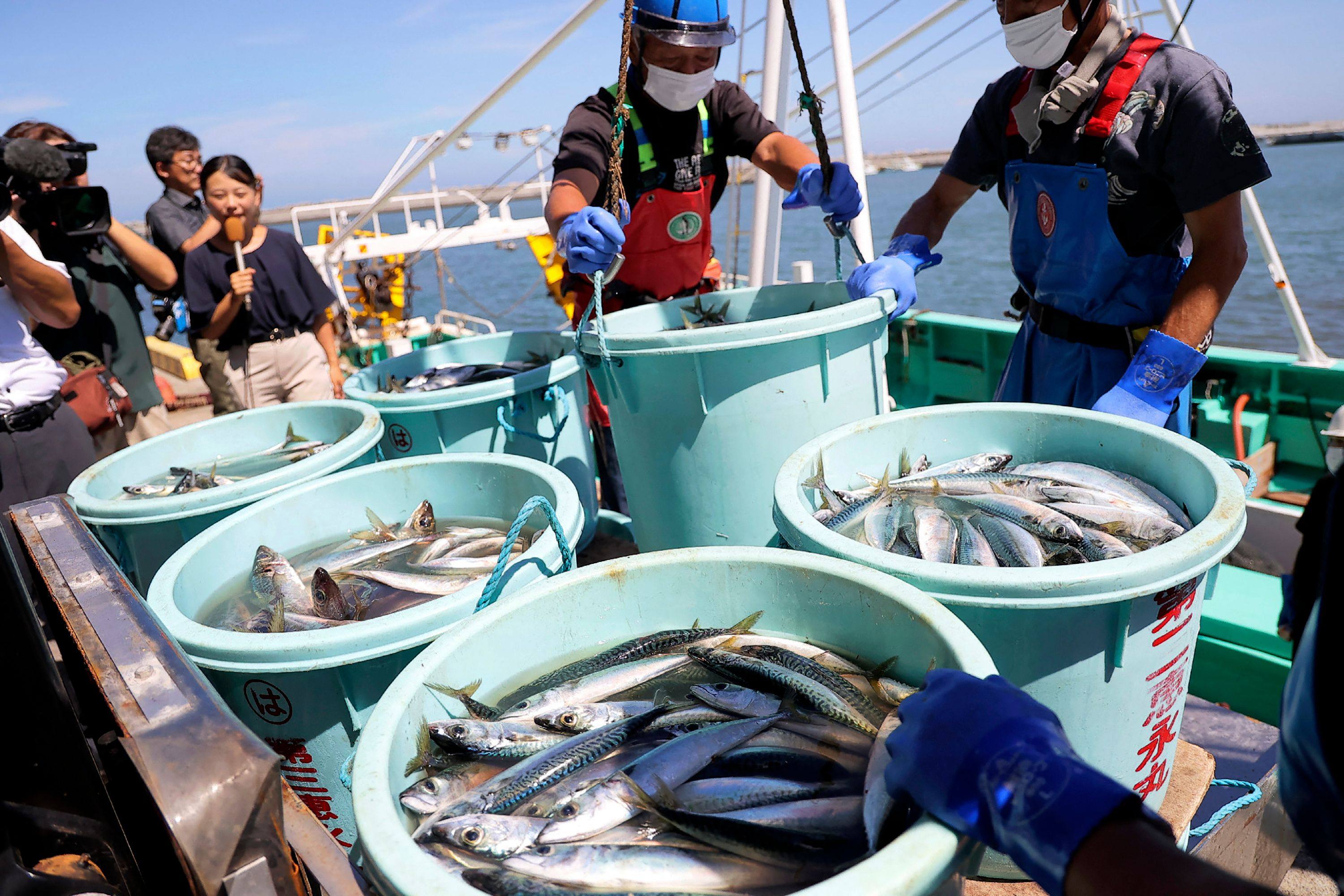 Fishery workers unload seafood caught in offshore in Soma City, Fukushima prefecture. Photo: AFP