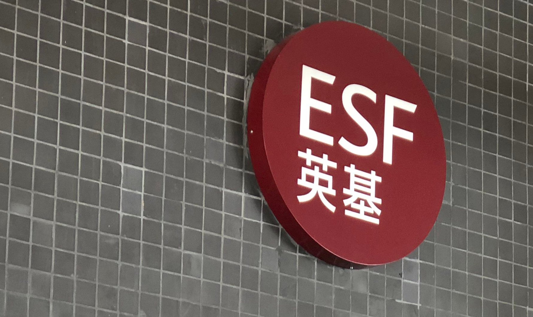 The ESF is the largest English-language international school organisation in Hong Kong. Photo: Handout