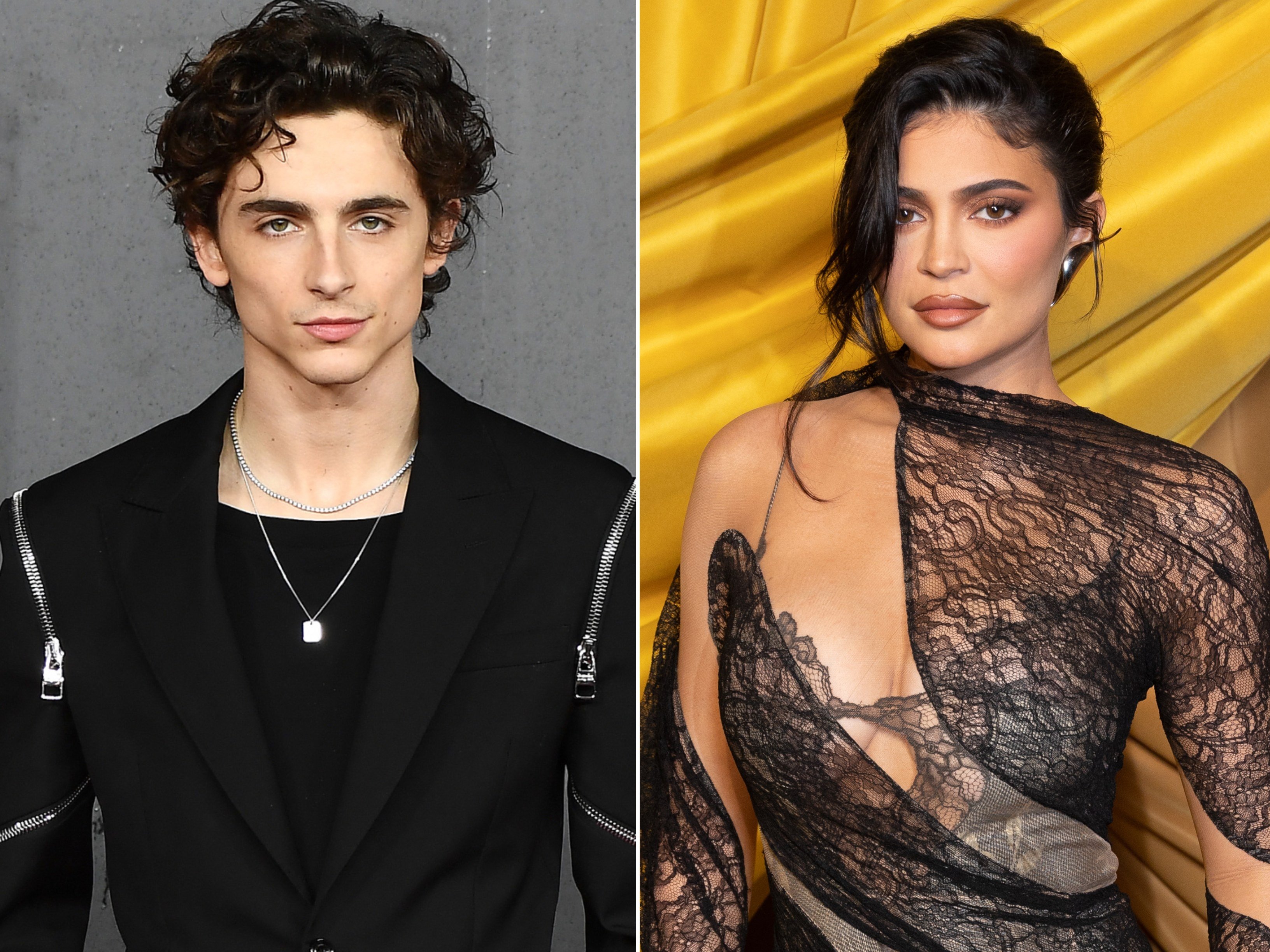 Kylie Jenner and Timothée Chalamet are rumoured to be dating. Photos: Warner Bros, WireImage