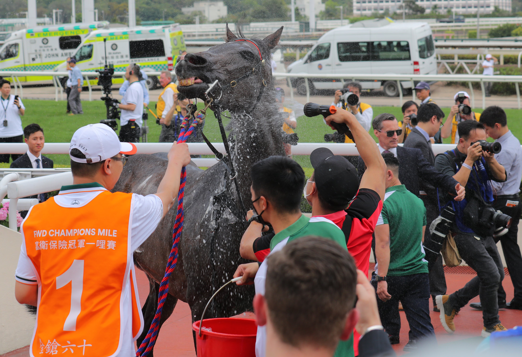 Golden Sixty enjoys a wash after winning the Champions Mile. Photo: Kenneth Chan