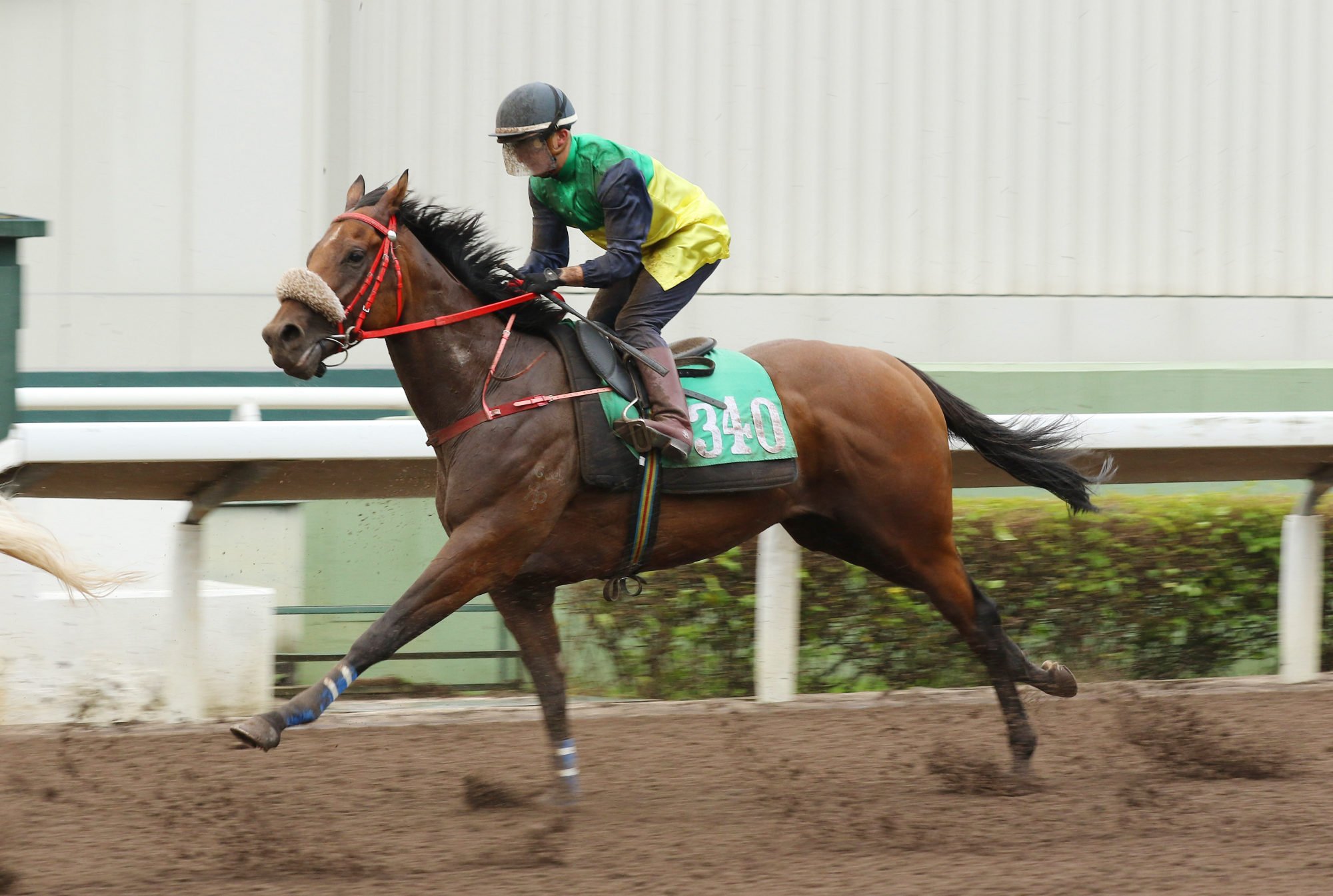 Andrea Atzeni trials Class One HKSAR Chief Executive’s Cup (1,200m) runner Youthful Deal at Sha Tin on Tuesday.