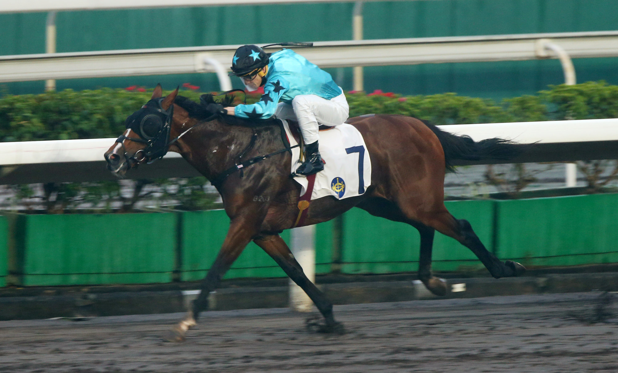 Lyle Hewitson snaps his 140-race losing streak at the start of his Hong Kong career on Sha Tin winner Last Kingdom.
