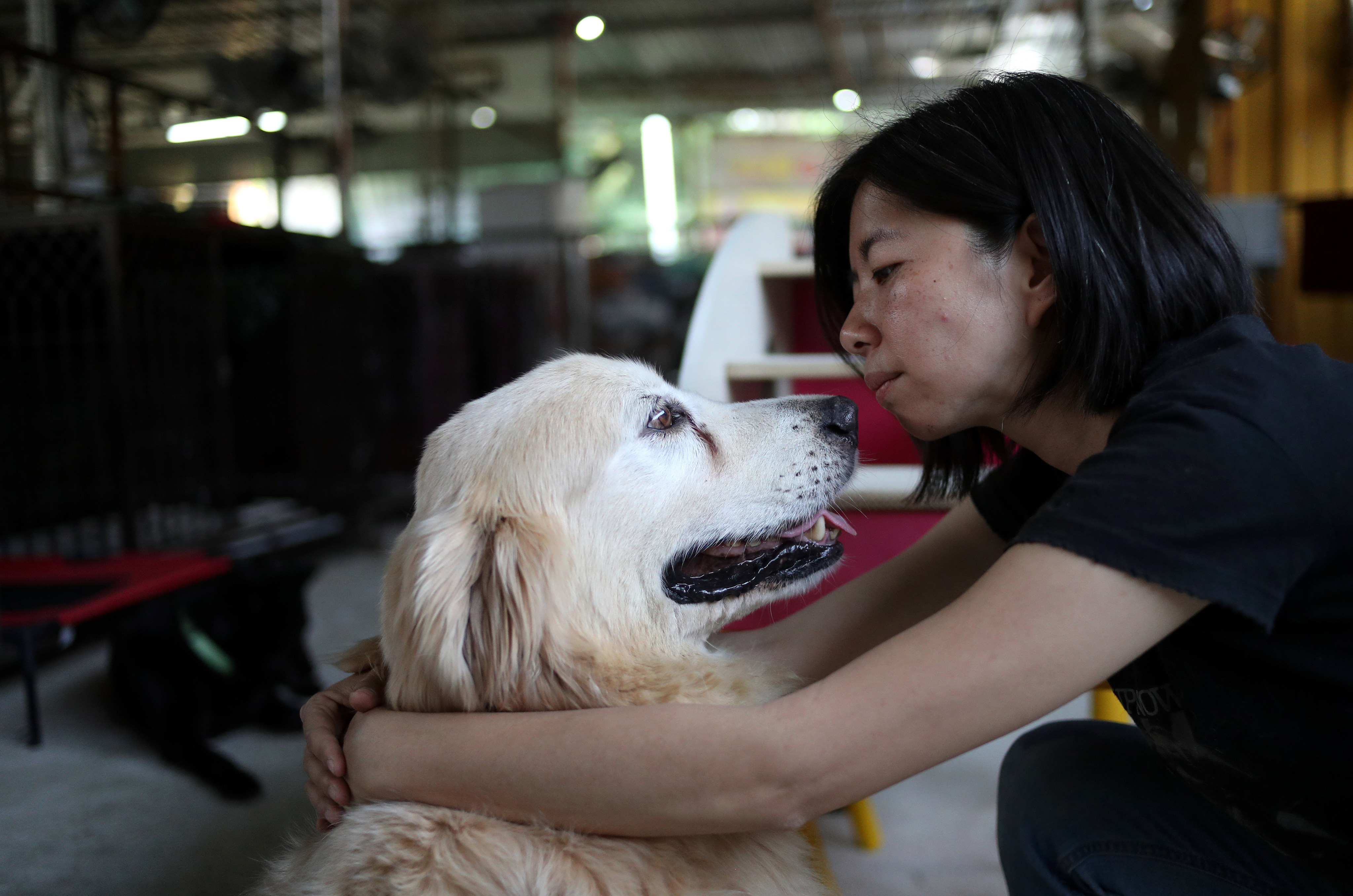 Ivy Tse is the founder of House of Joy and Mercy, which has two animal shelters in Yuen Long. Photo: Winson Wong
