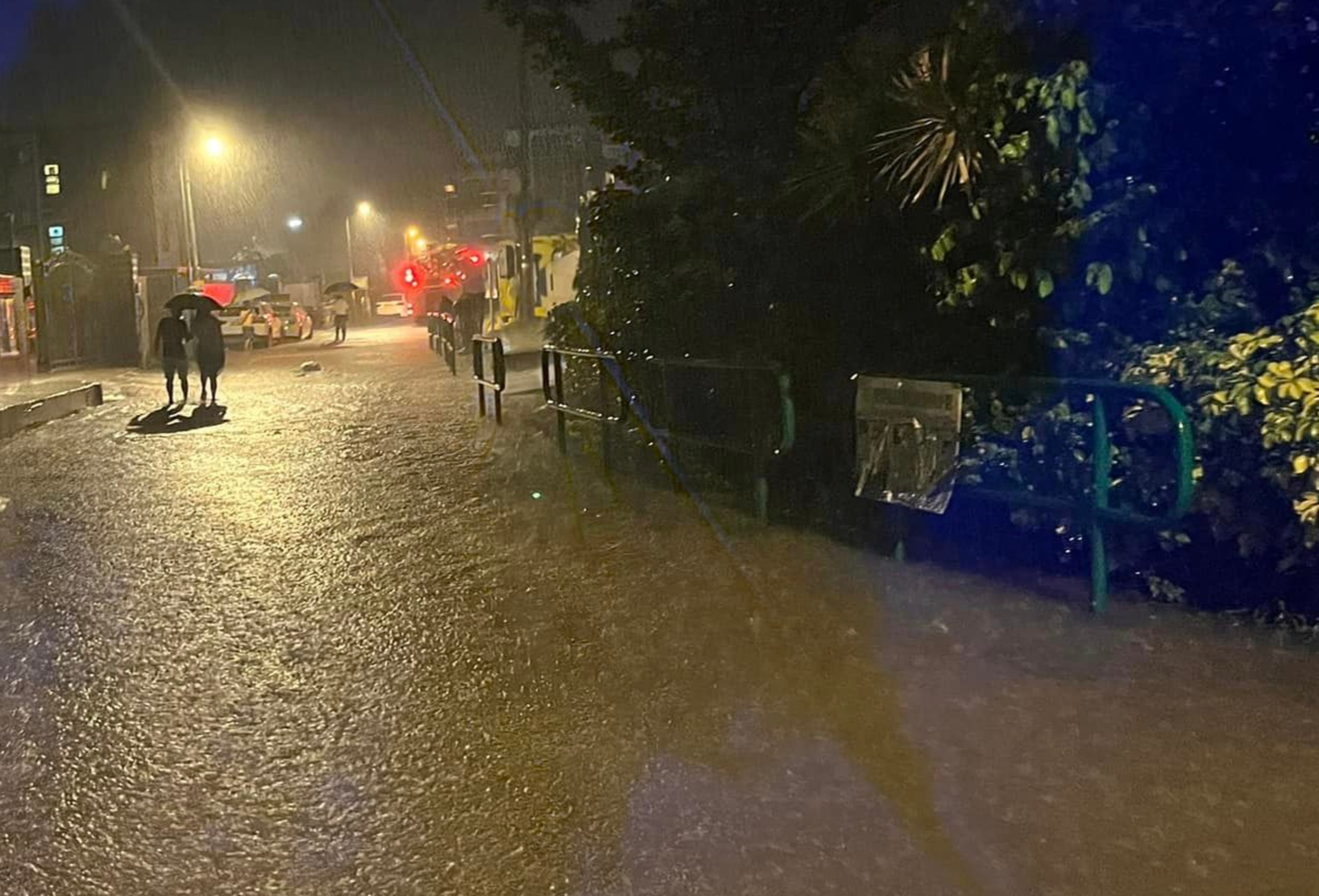 Floodwater gathers in Lung Yeuk Tau village in Fanling. Photo: Handout