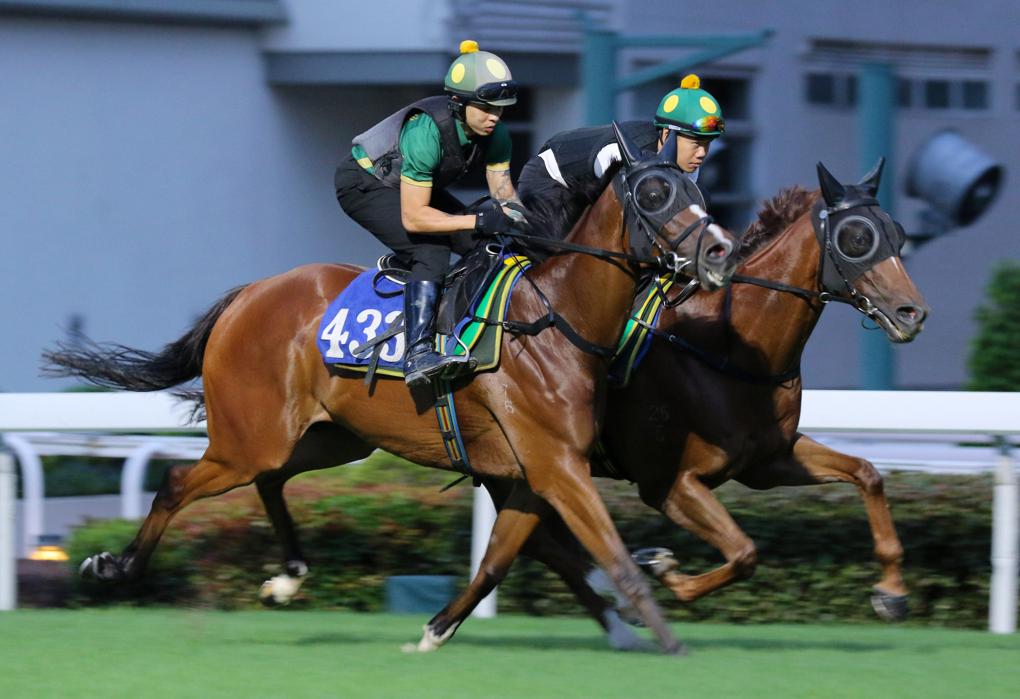 Apache Pass (outside) and Duke Wai gallop on Sha Tin’s turf track on Sunday before travelling to Seoul.