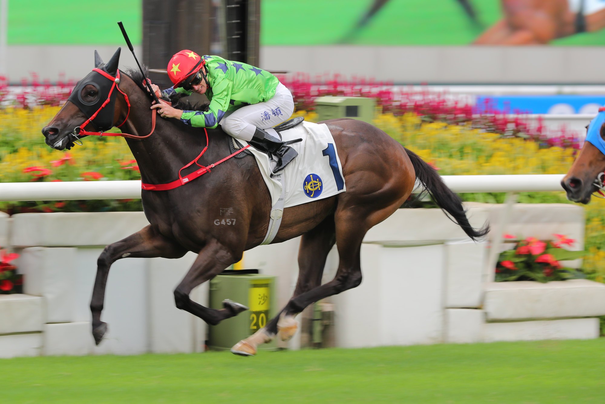 Zac Purton rides Supreme Lucky to victory in the ninth race of the day at Sha Tin. Photo: Kenneth Chan.