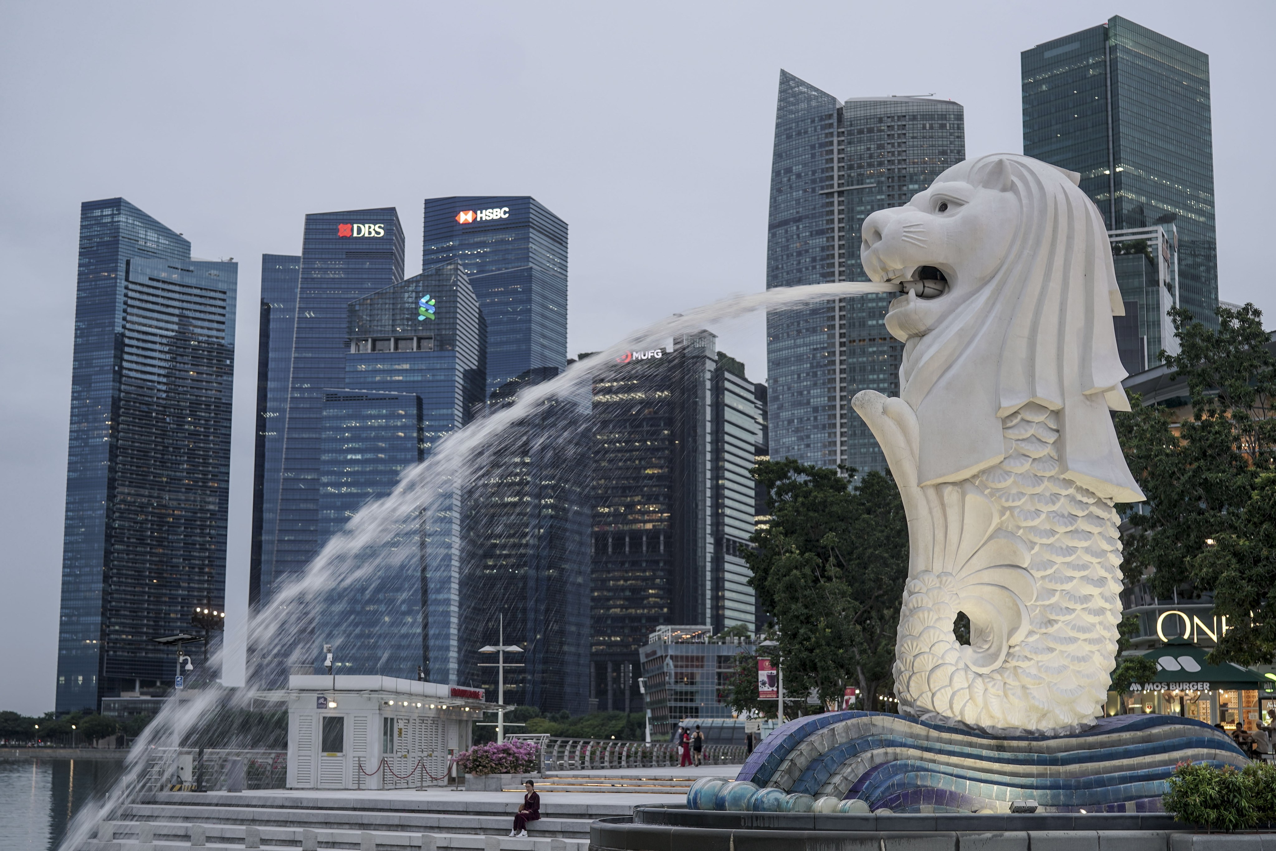The Merlion statue with buildings of Singapore’s financial district behind. For causing hurt to a vulnerable person, the accused could have been jailed for up to six years under the city state’s laws. Photo: EPA-EFE