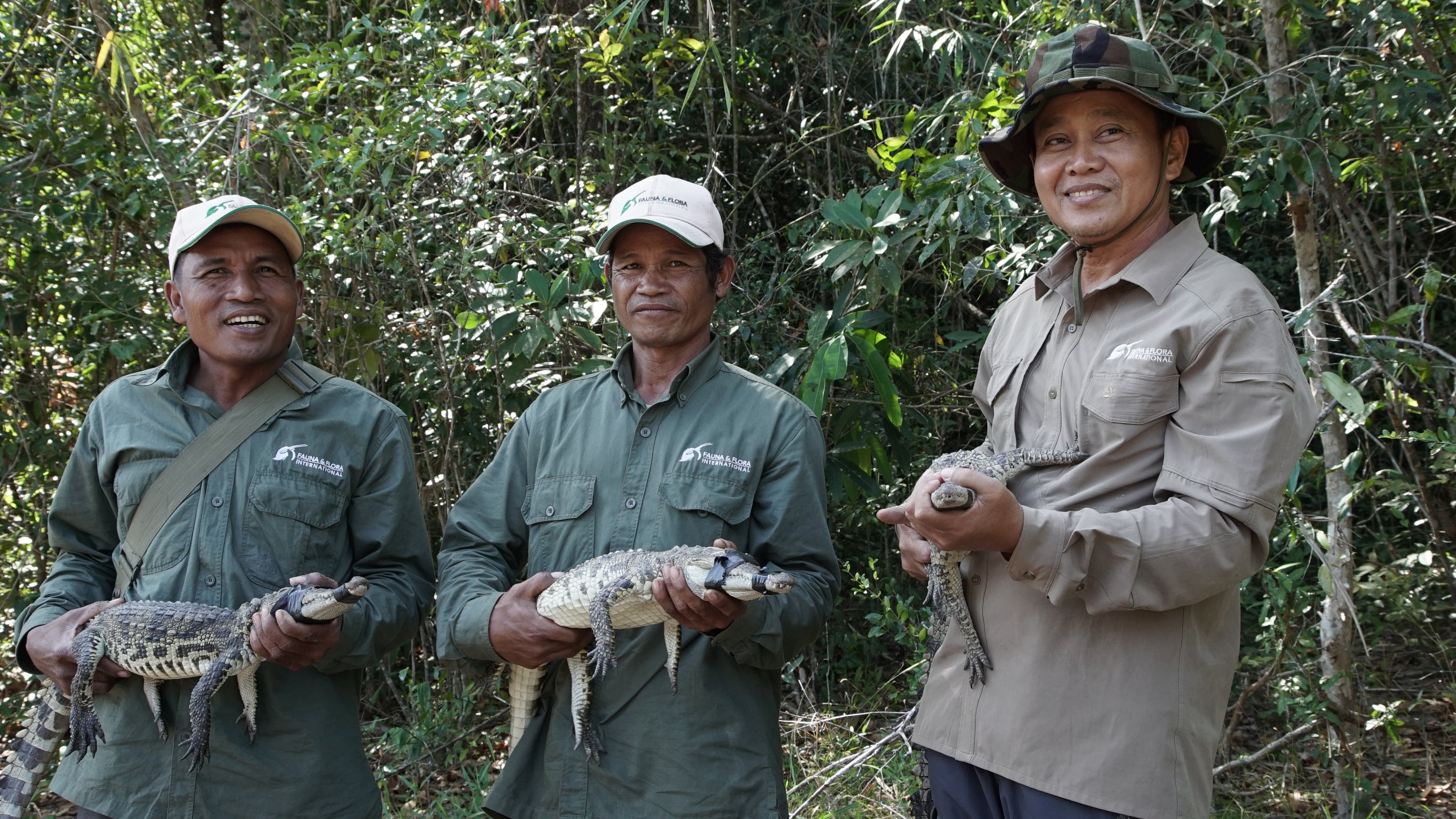 Cambodian rangers with Siamese crocodiles. BBC Earth’s Changing Planet II examines how conservation in six geographical areas of concern, including Cambodia, is helping to improve their delicate ecosystems. Photo: Ferne Corrigan and BBC Studios