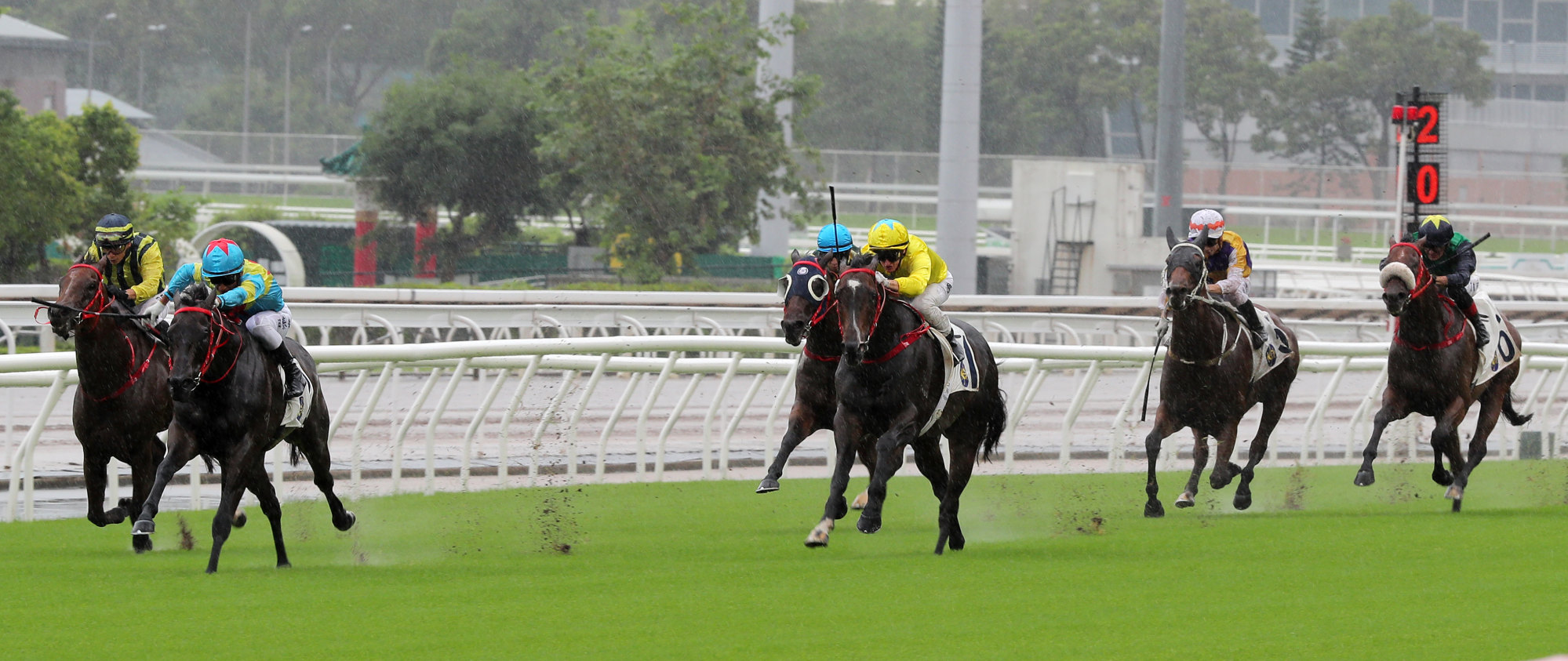 Victor The Winner (blue and red cap) defeats hot favourite Lucky Sweynesse (yellow and blue cap) on opening day.