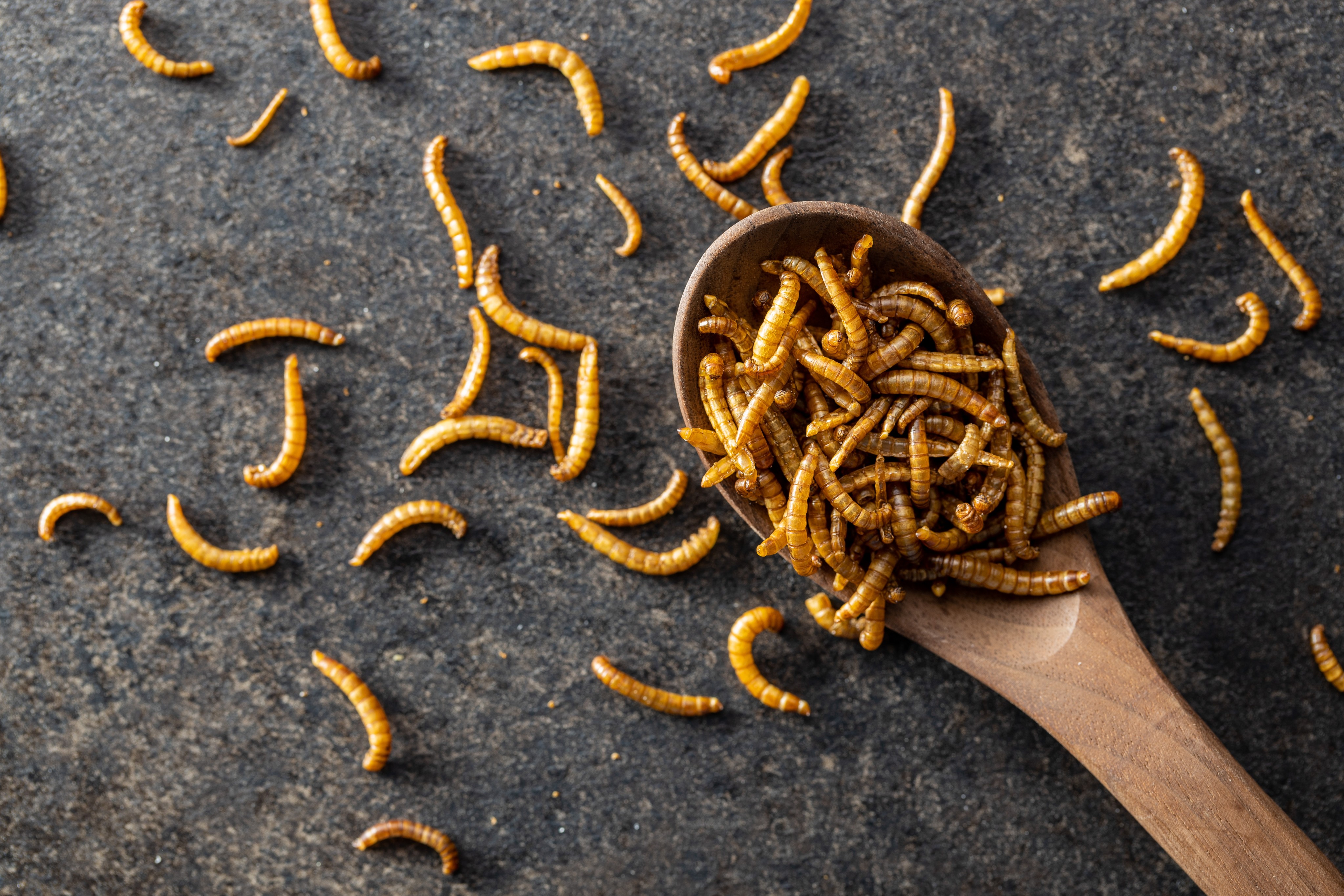 Fried salty worms.&#xA;&#xA;Credit:  Shutterstock