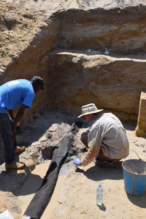 Researchers uncover a wooden structure dating to at least 476,000 years ago near Kalambo Falls in Zambia. Photo: Geoff Duller/Aberystwyth University via Reuters