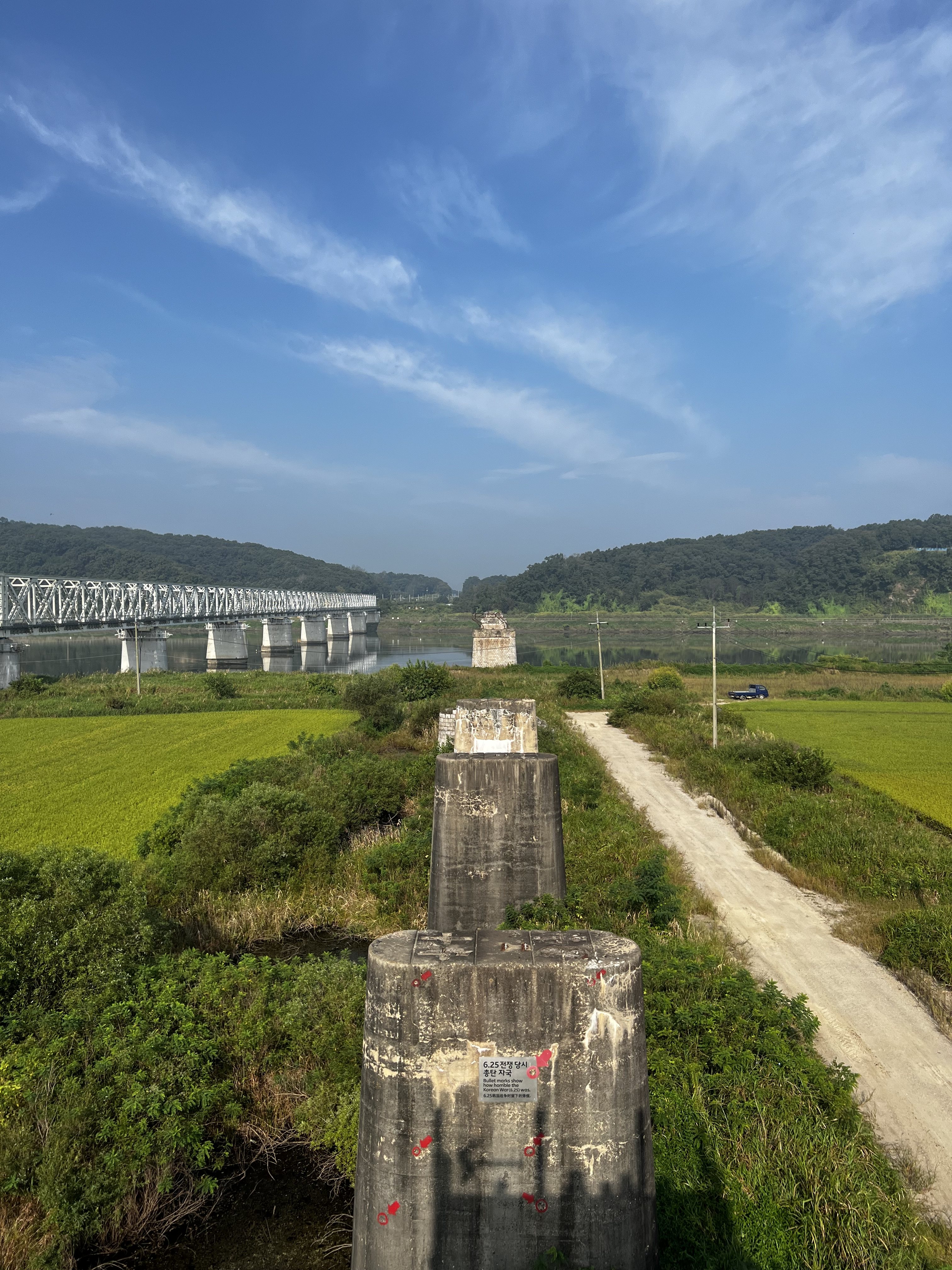 Piers of the old Dokgae Bridge amid the lush greenery of the Demilitarized Zone (DMZ) in South Korea. Photo: Erika Na