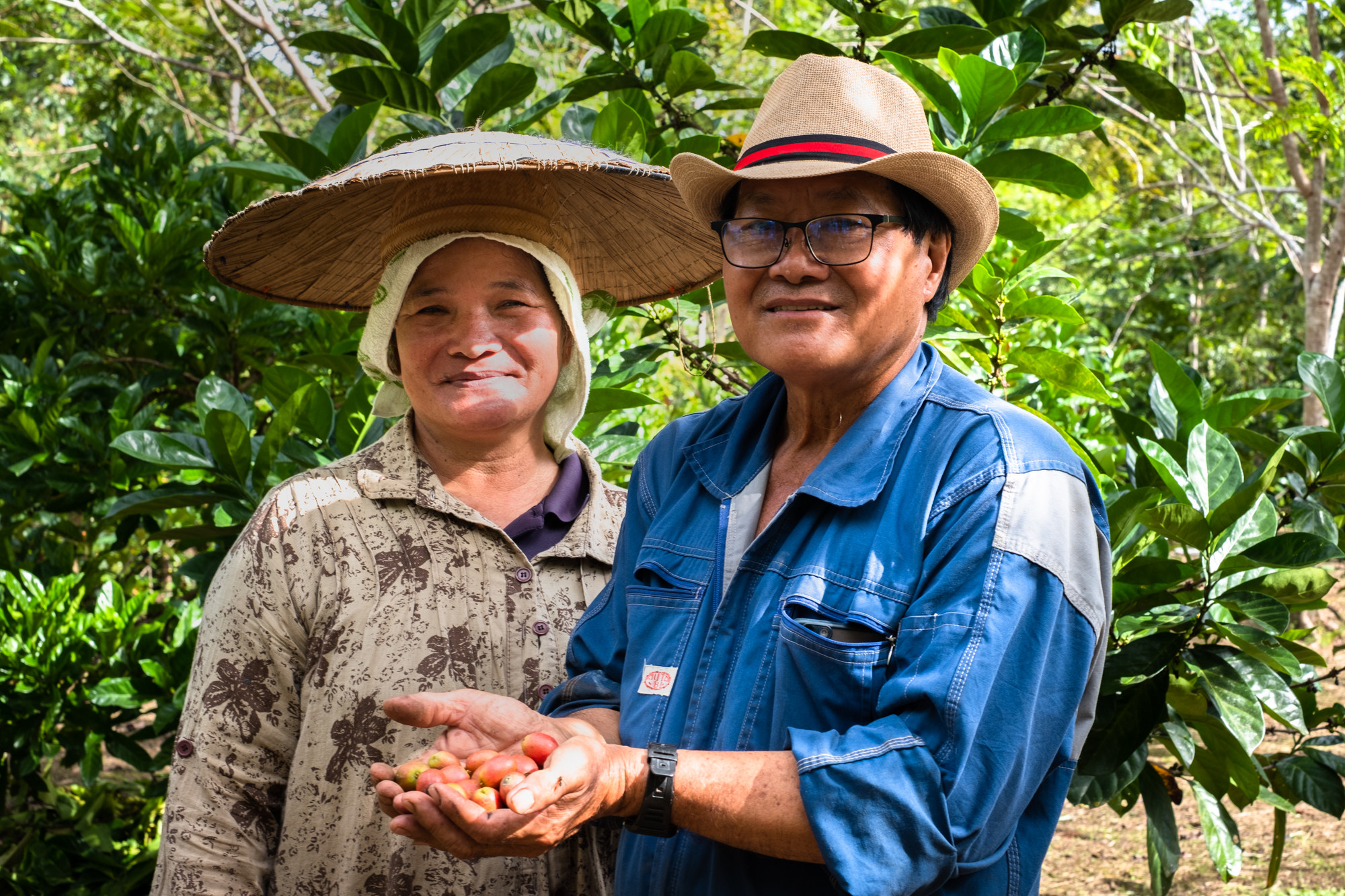 Coffee grower Tomy Pangot and his wife, Anne, with some of the coffee berries from their bushes in Long Banga, Sarawak, Malaysia. Indigenous farmers like him hope to increase their income and draw more tourists to the area. Photo: Chan Kit Yeng