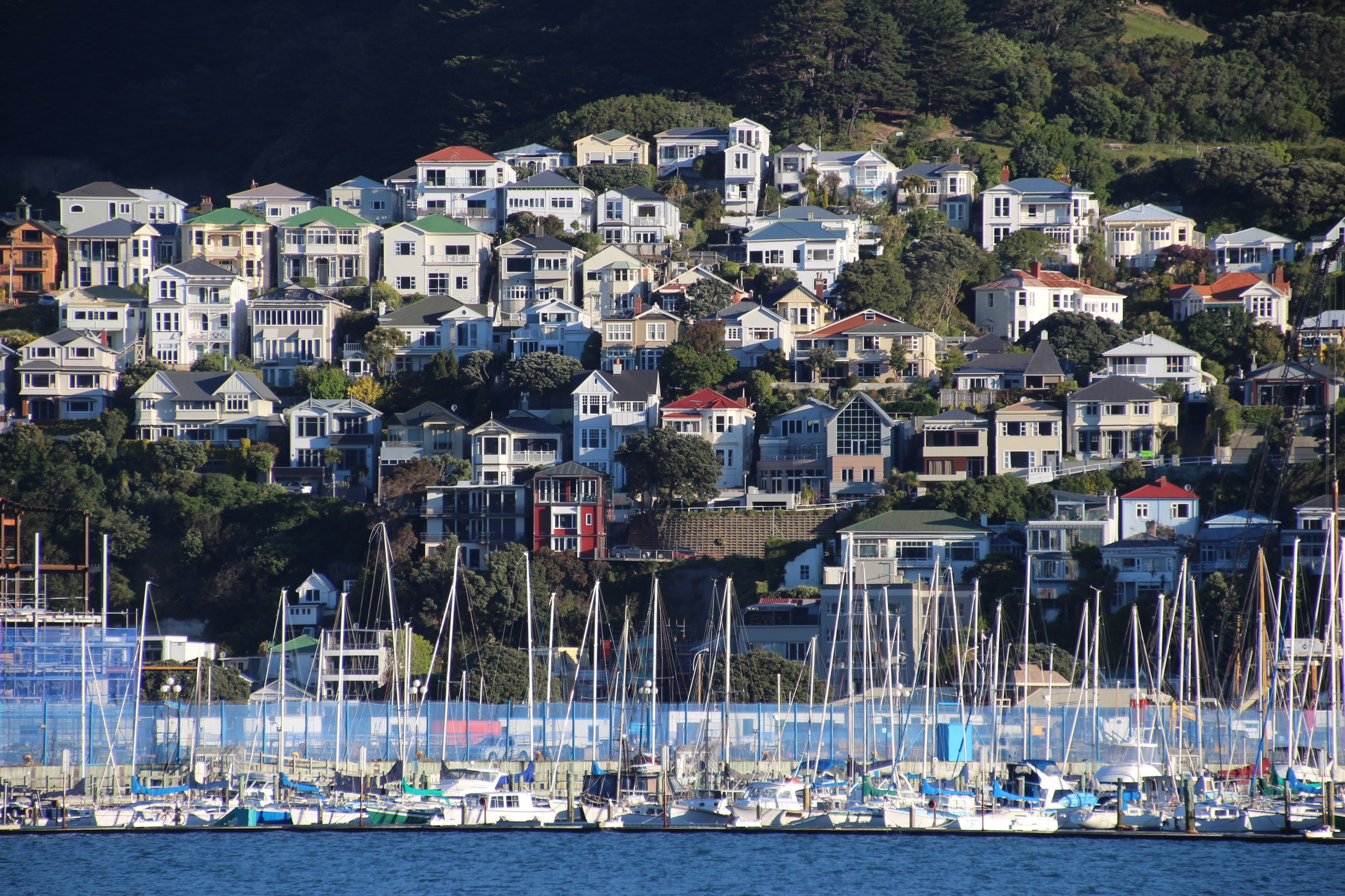 In Wellington, New Zealand, Immigration Minister Andrew Little made an announcement regarding foreign workers residency visas.   Photo: Shutterstock 