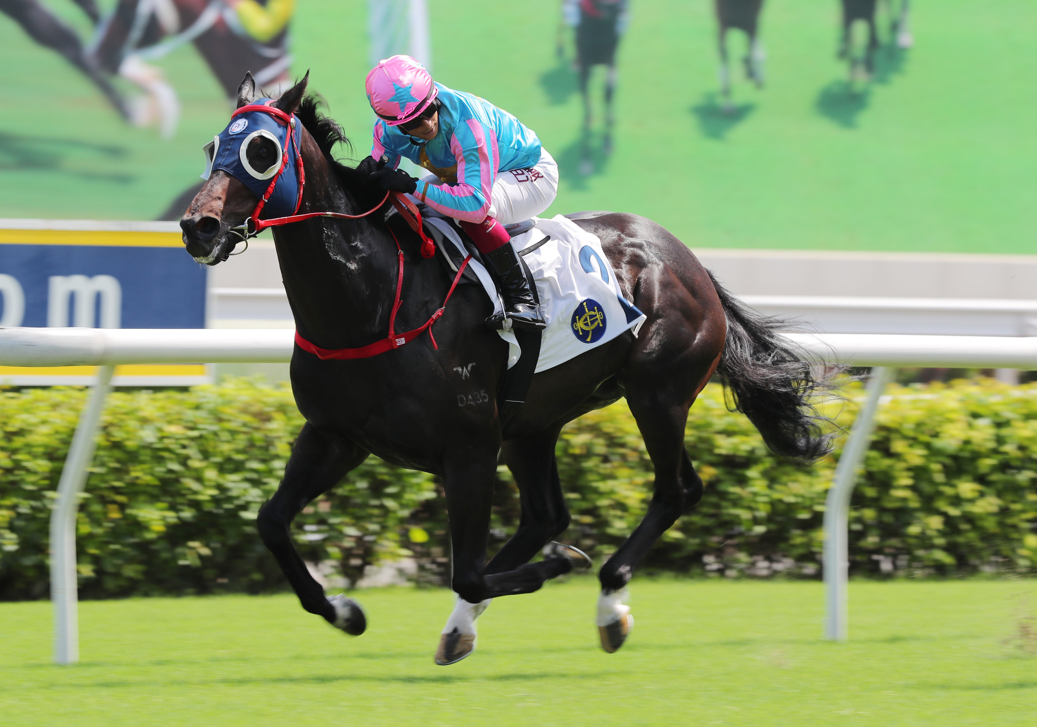Alexis Badel looks for non-existent dangers aboard Group Three Celebration Cup (1,400m) winner Healthy Happy at Sha Tin on Sunday. Photo: Kenneth Chan