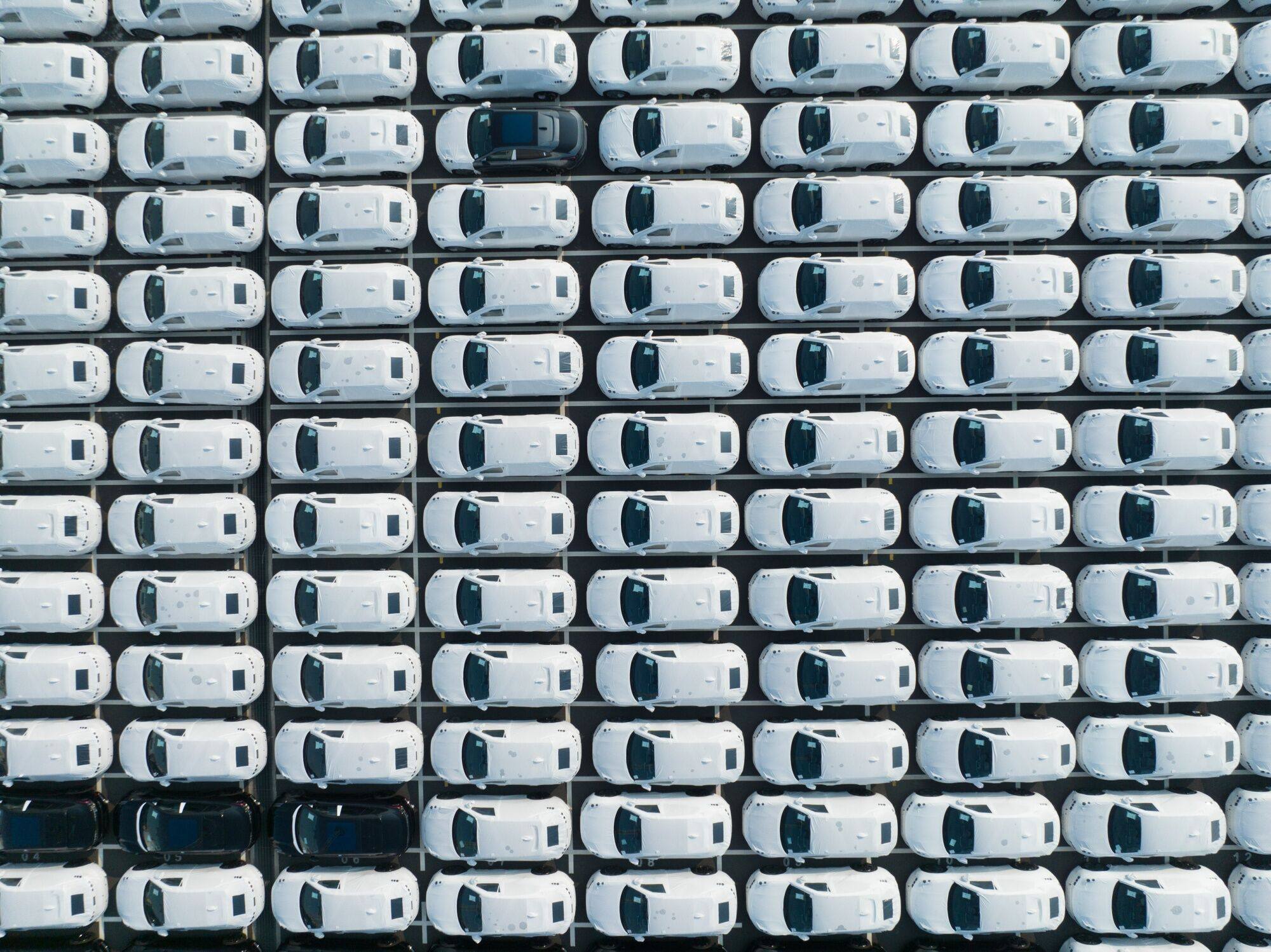 Zeekr electric vehicles bound for shipment to Europe wait at the Port of Taicang in Taicang, Jiangsu province, China, on August 24, 2023. Photo: Bloomberg