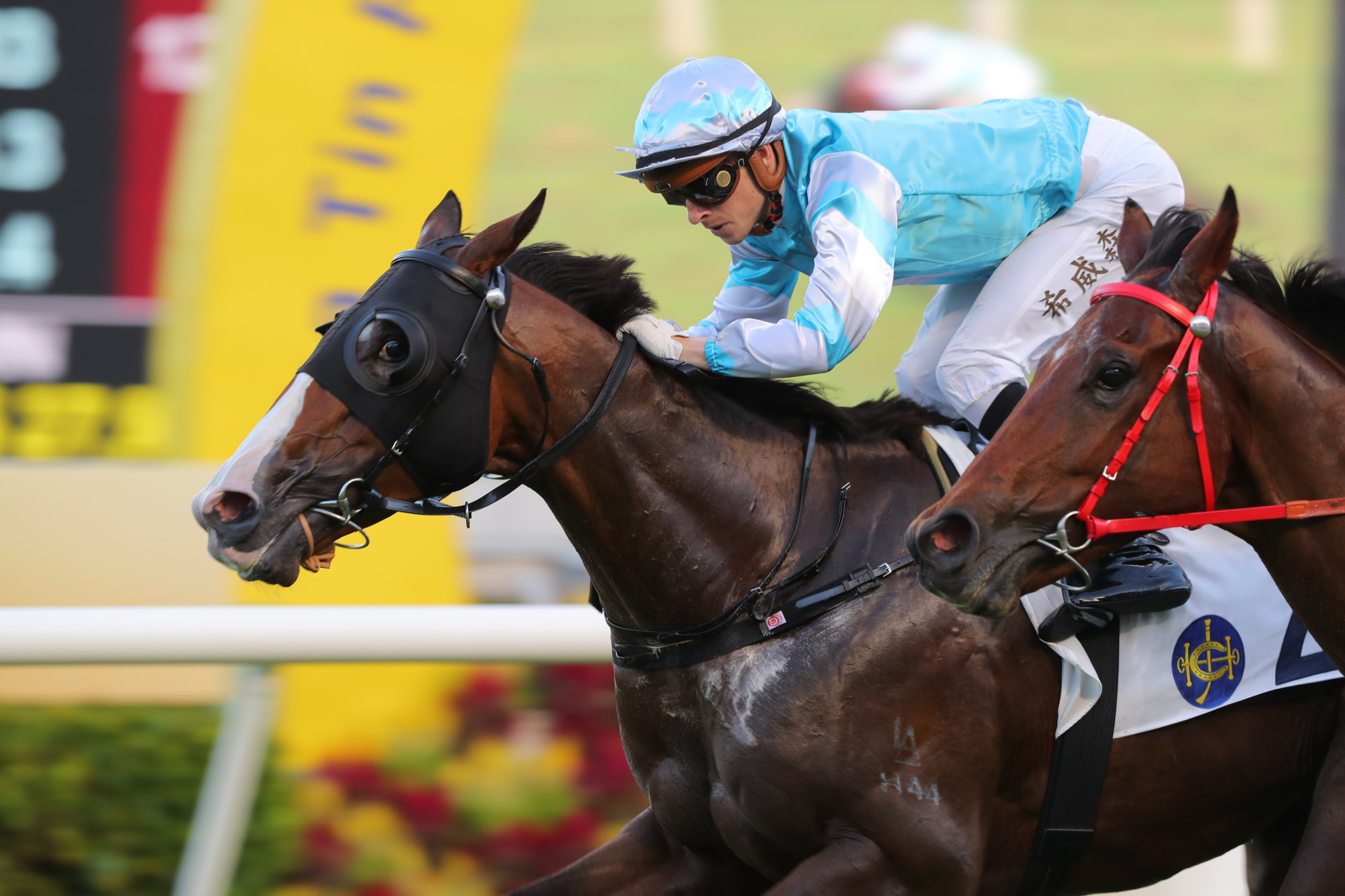 Sweet Briar wins the Class Four Chan Trophy (1,200m) under Lyle Hewitson at Sha Tin on July 9.