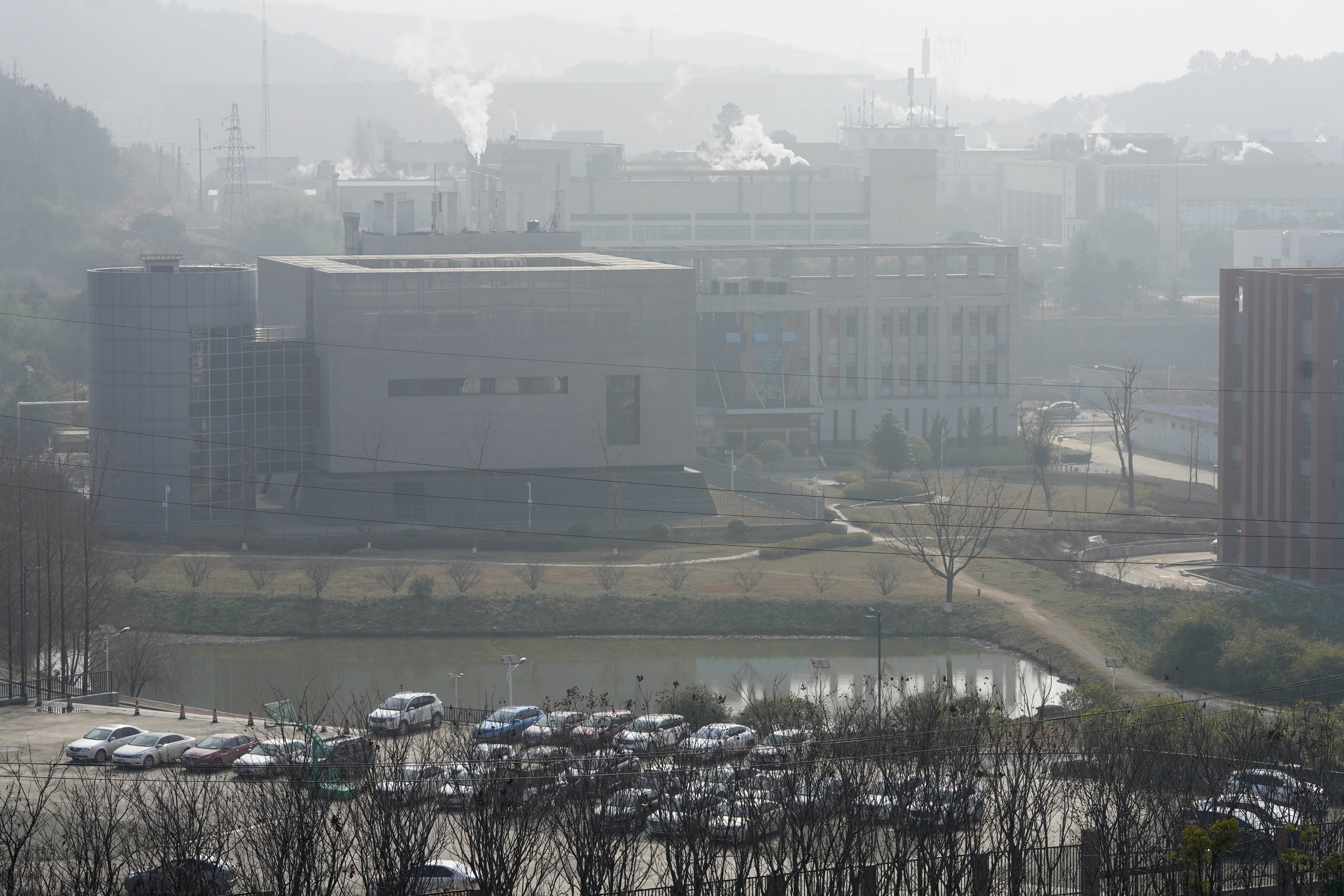 The Wuhan Institute of Virology in central China’s Hubei province. Photo: AP 