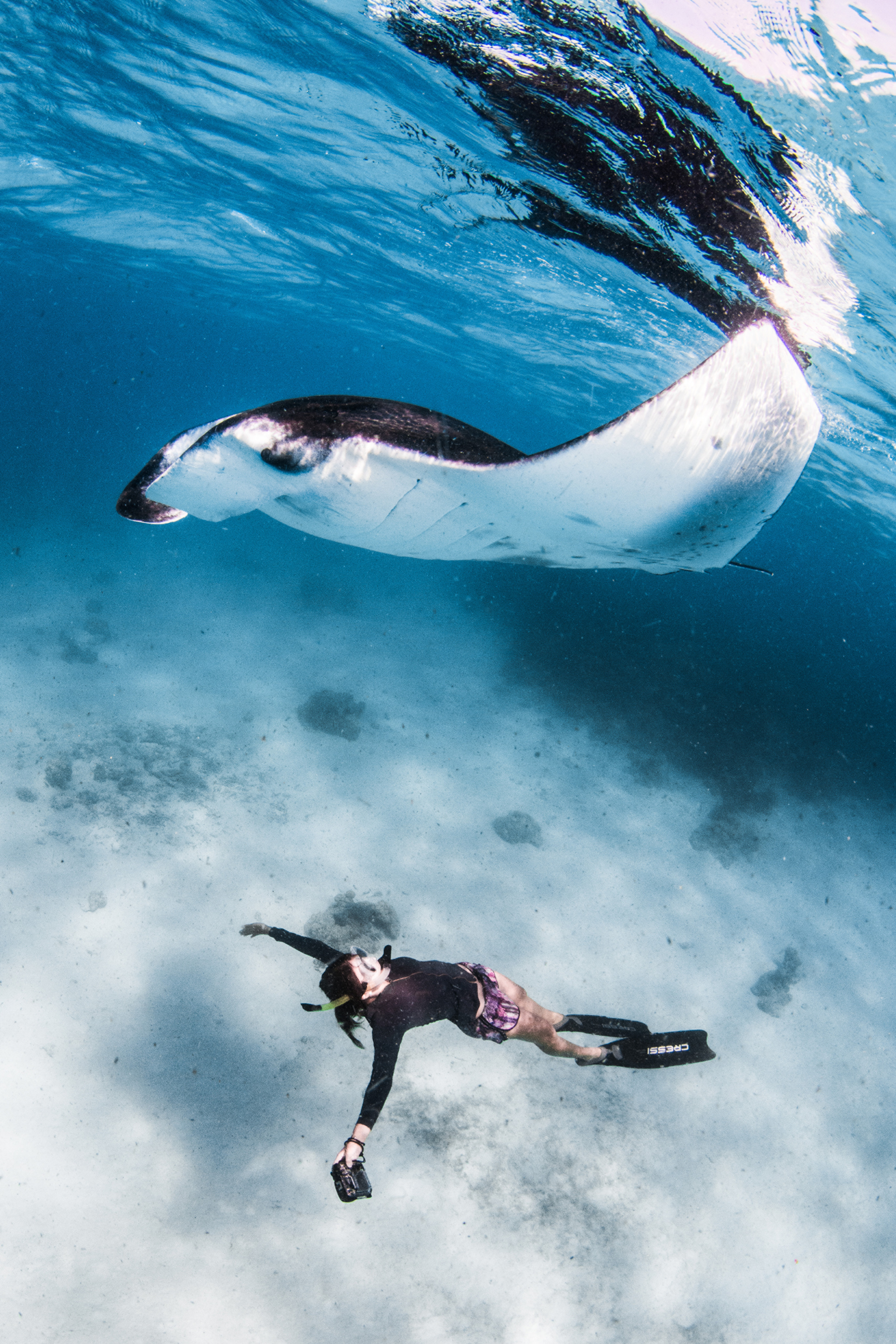 A close encounter with a manta ray in the Maldives. Photo: Four Seasons Maldives
