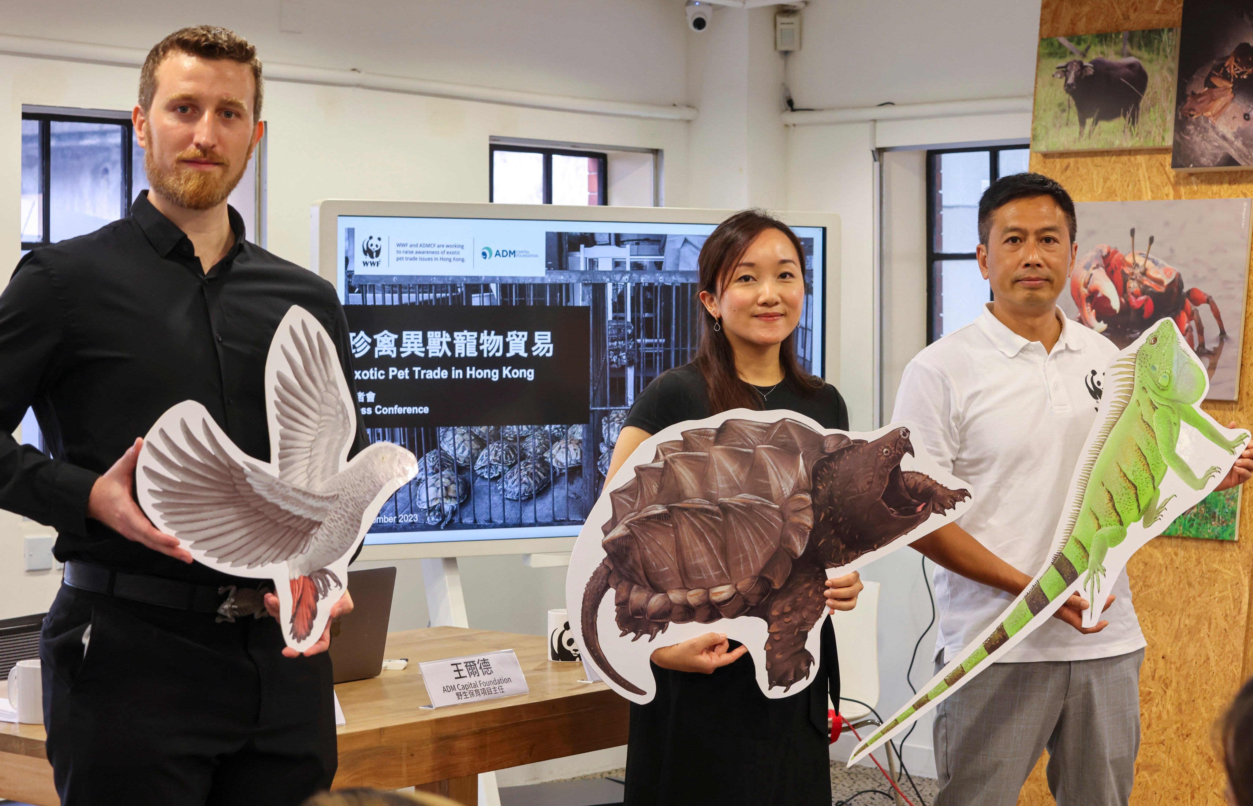 From the left, Sam Inglis, ADM Capital Foundation’s wildlife programme manager, Christie Wong, wildlife programme officer at ADM Capital Foundation, and Dr Bosco Chan, conservation director at WWF-Hong Kong, call for tougher laws on the trade in exotic pets and wildlife smuggling, at the WWF office in Central, on September 6. Photo: May Tse