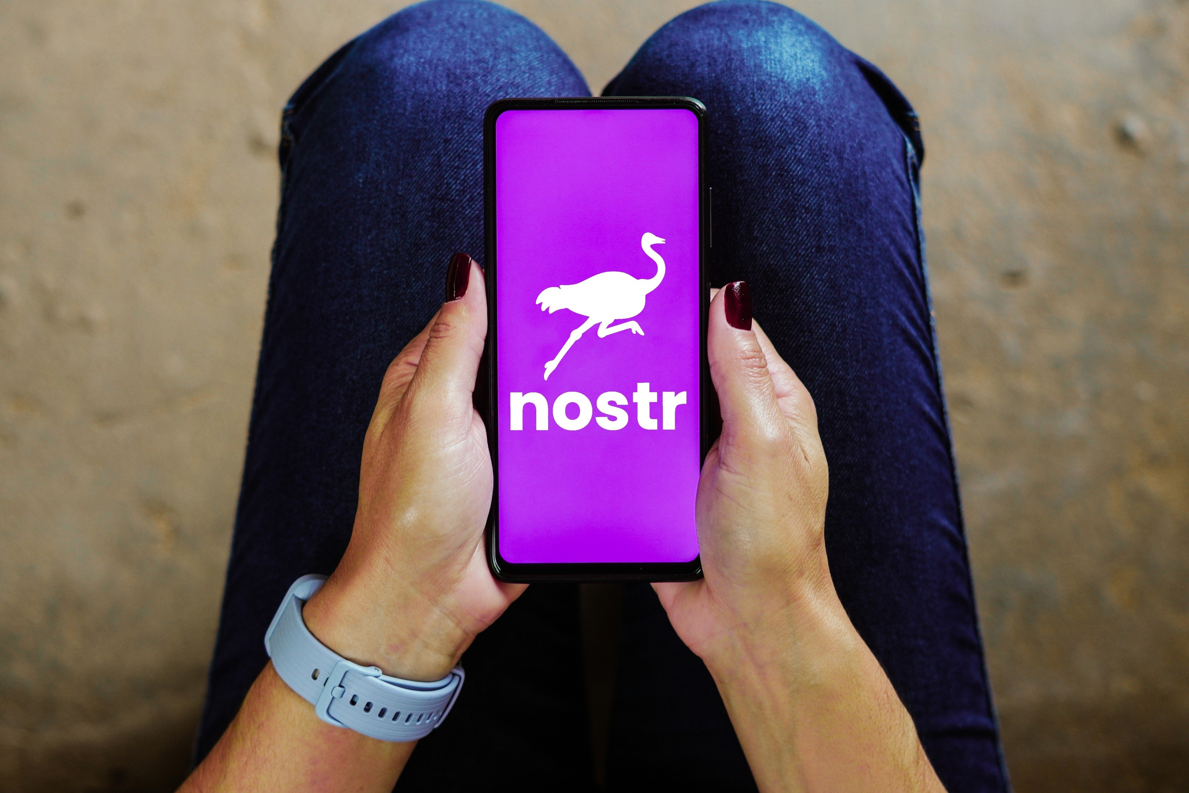 Nostr developers have adopted the ostrich as a kind of mascot for the decetralised social media protocol that has gained the backing of Twitter co-founder Jack Dorsey. Photo: Shutterstock