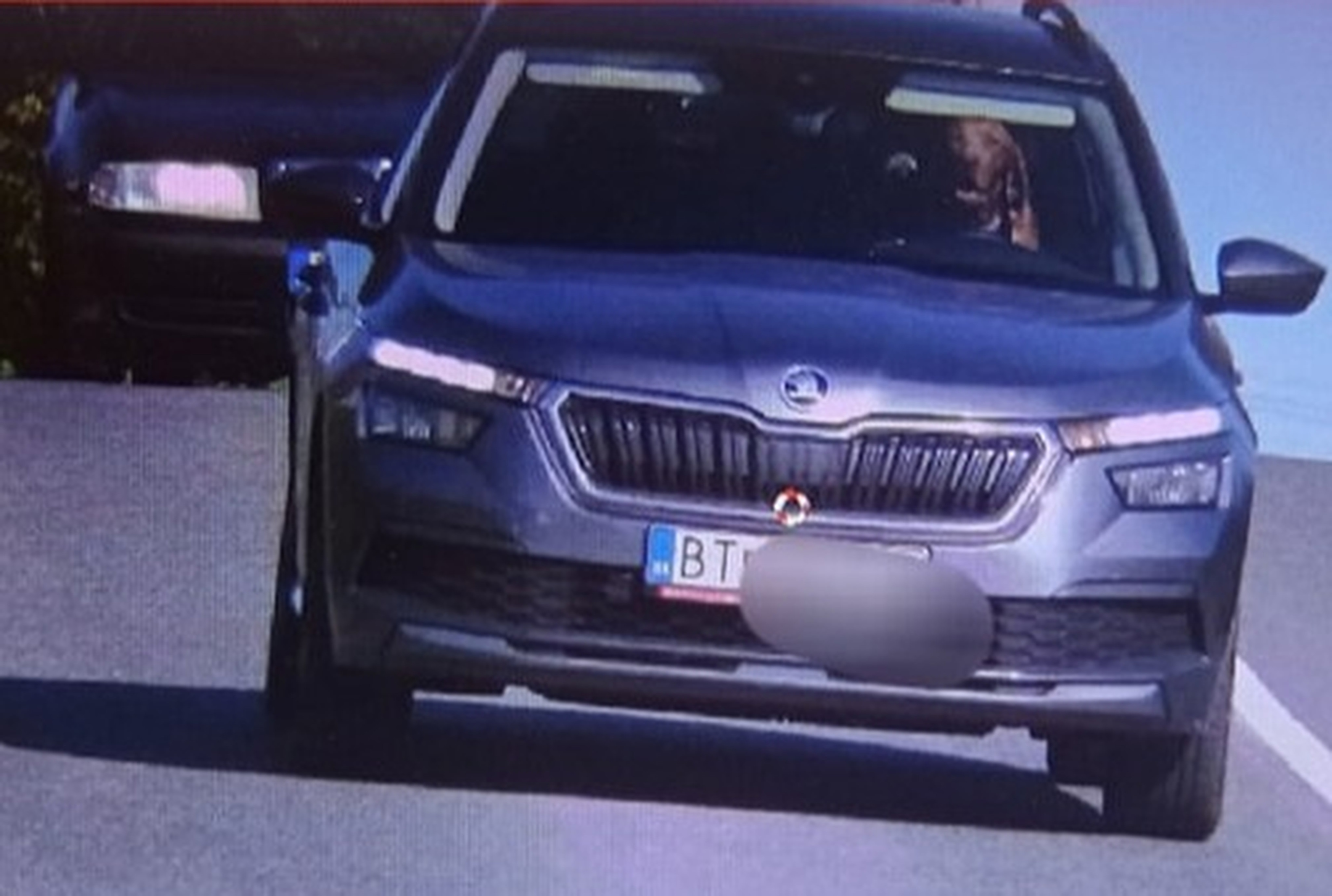 Police in Slovakia have fined the owner of a car after a speed camera appeared to show a dog at the wheel. Photo: Facebook@ Polícia Slovenskej republiky