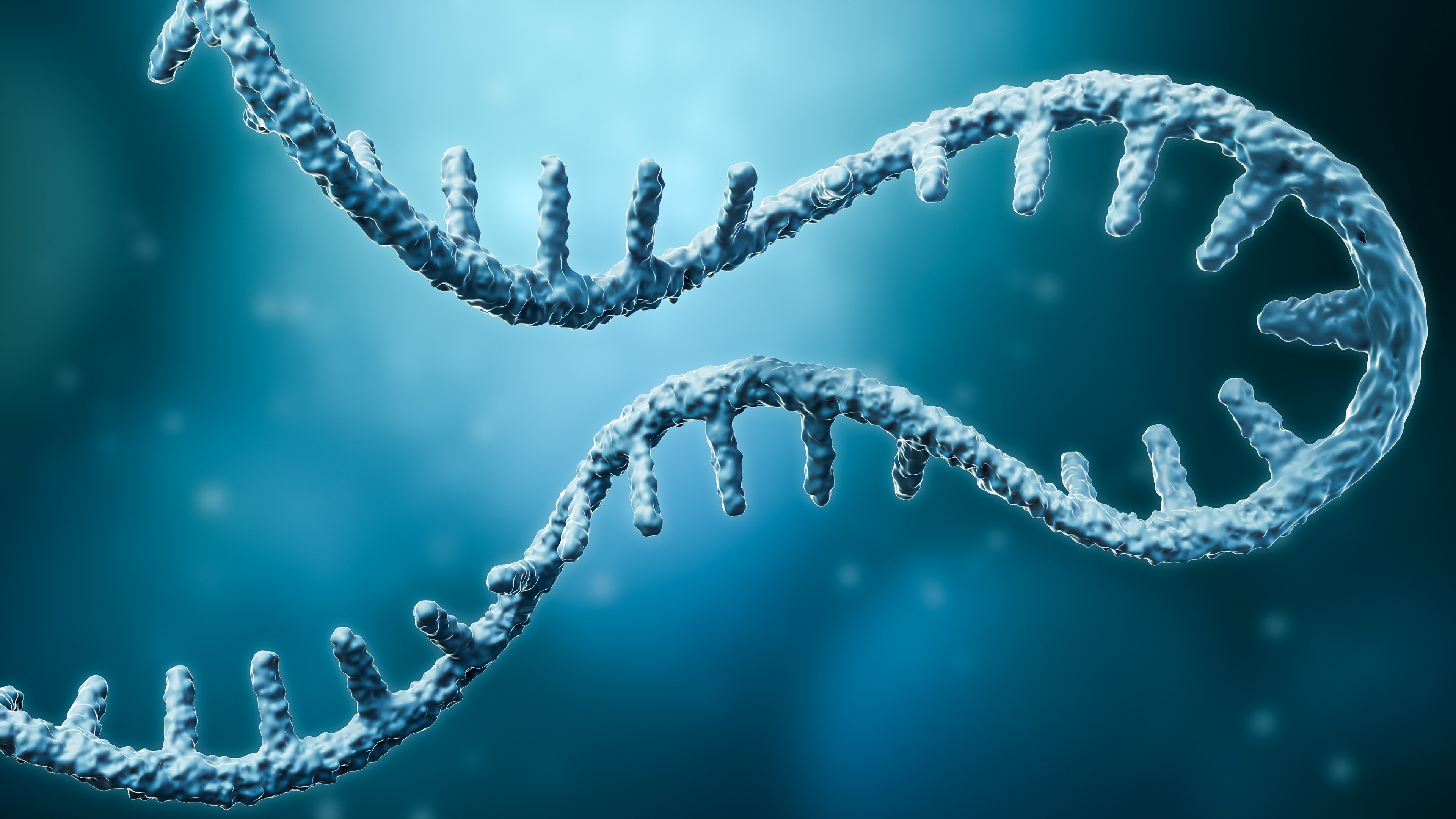 Messenger RNA or mRNA strand 3D rendering illustration with copy space. Photo: Shutterstock