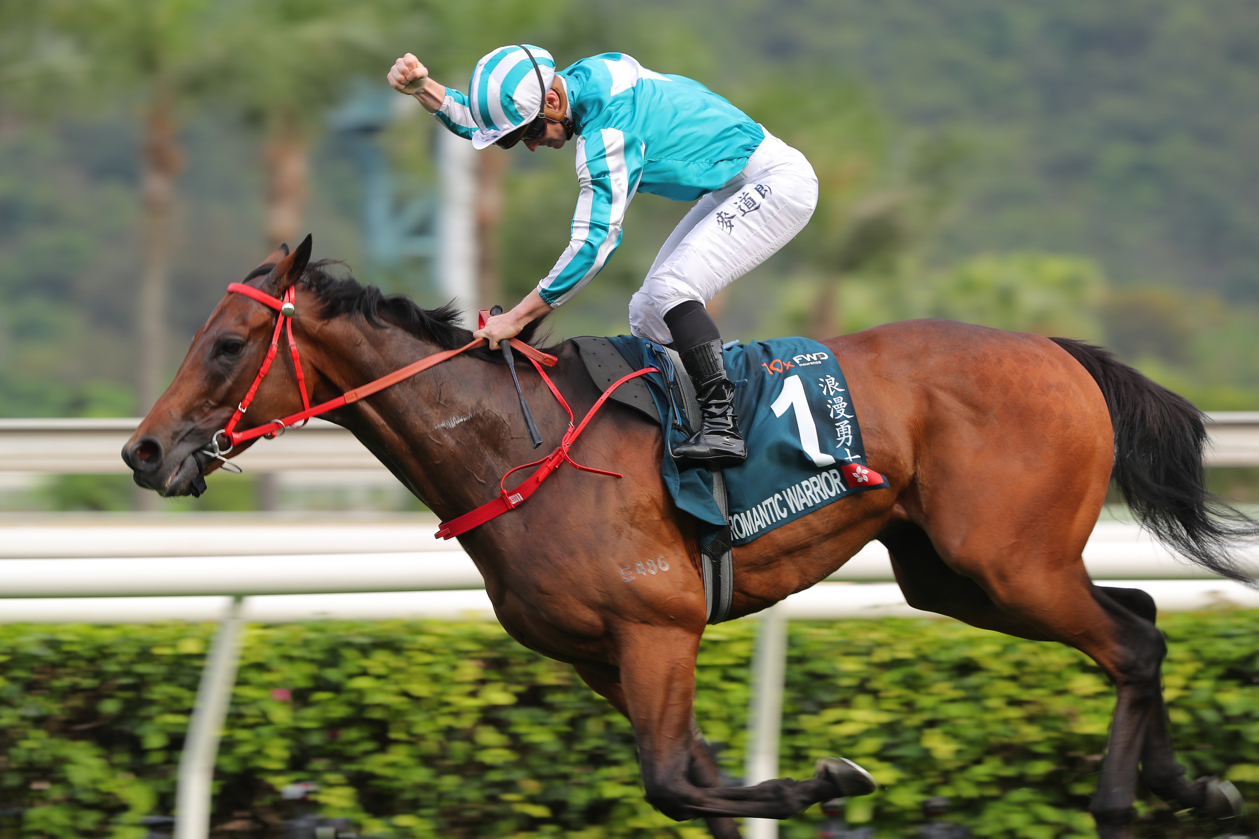 James McDonald clenches his fist in celebration aboard Group One QEII Cup (2,000m) winner Romantic Warrior at Sha Tin on April 30. Photo: Kenneth Chan