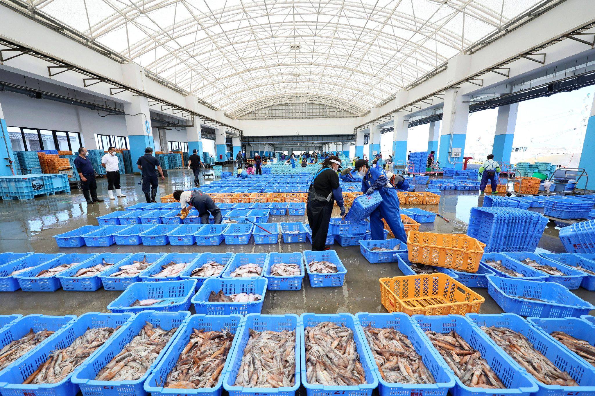 Fishery workers sort out seafood in Soma City, Fukushima prefecture on September 1, about a week after the country began discharging treated wastewater from a nuclear power plant. (Photo: AFP)